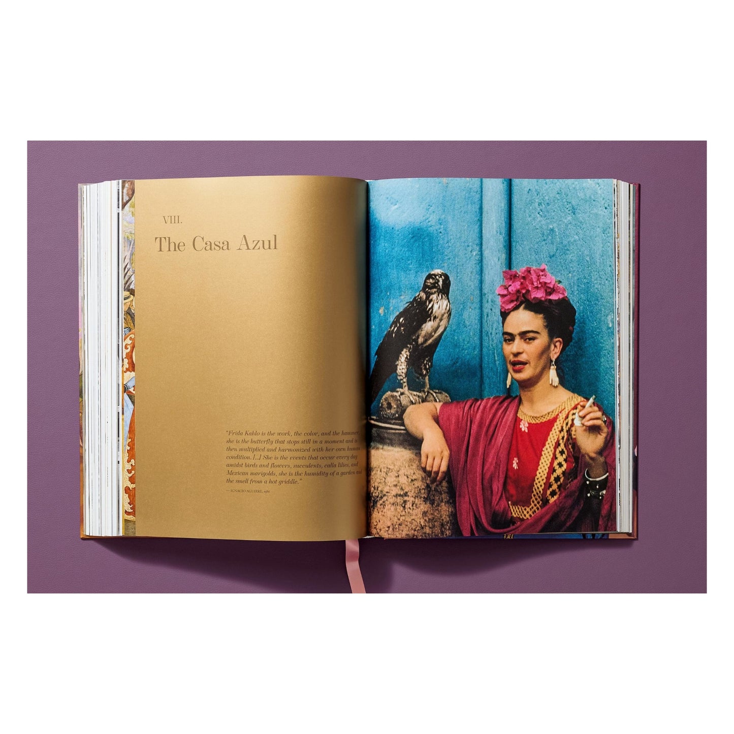 Frida Kahlo. Obra pictórica completa (Spanish)