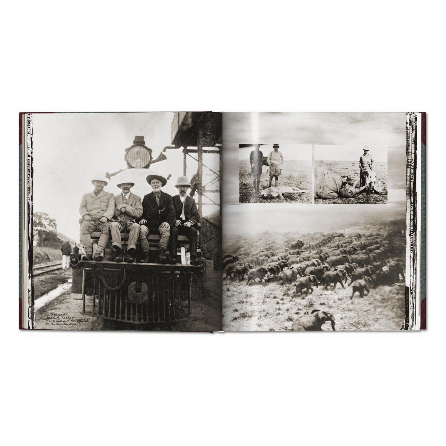 Peter Beard. The End of the Game. Revisited 2020 Edition (English)