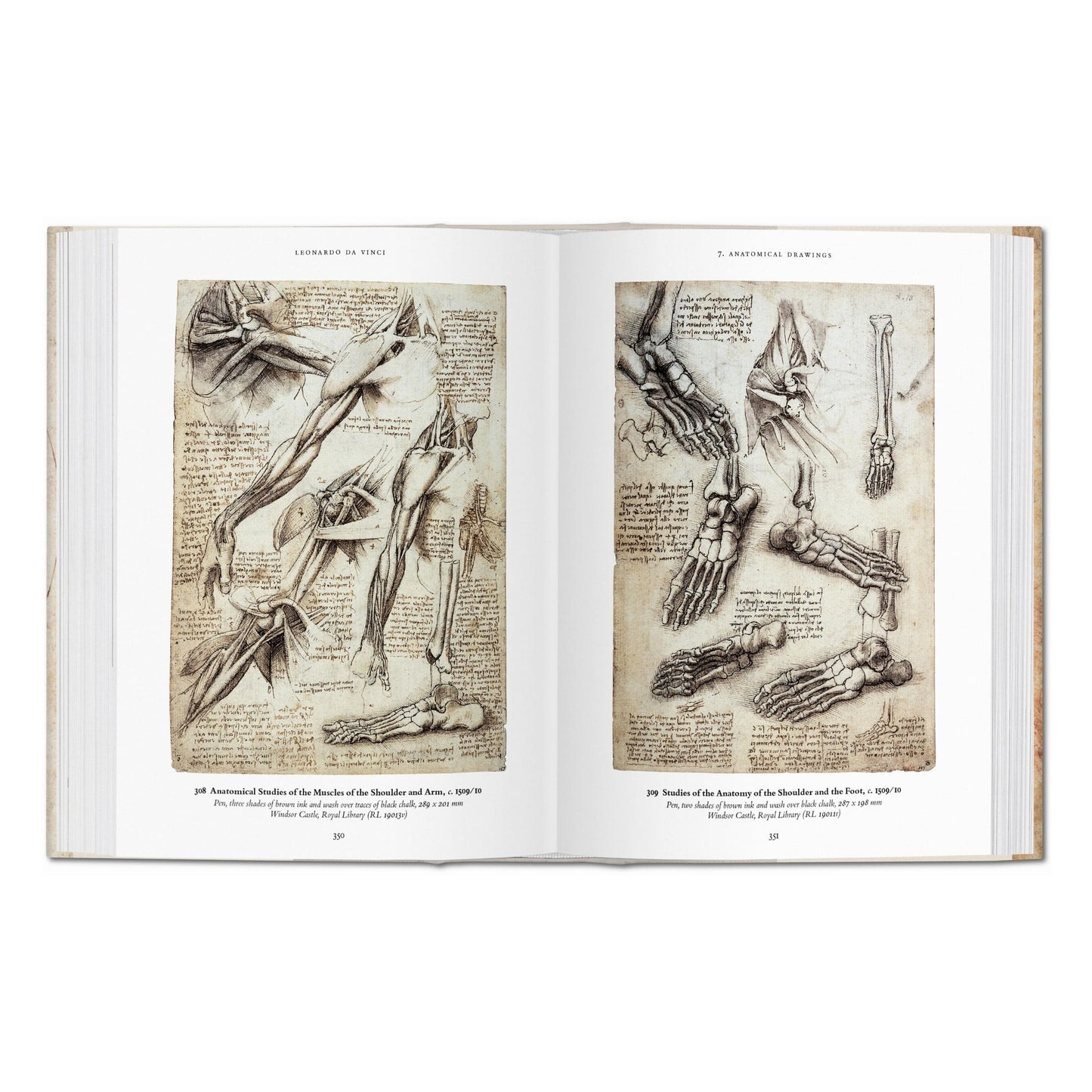 Leonardo. The Complete Drawings (English)