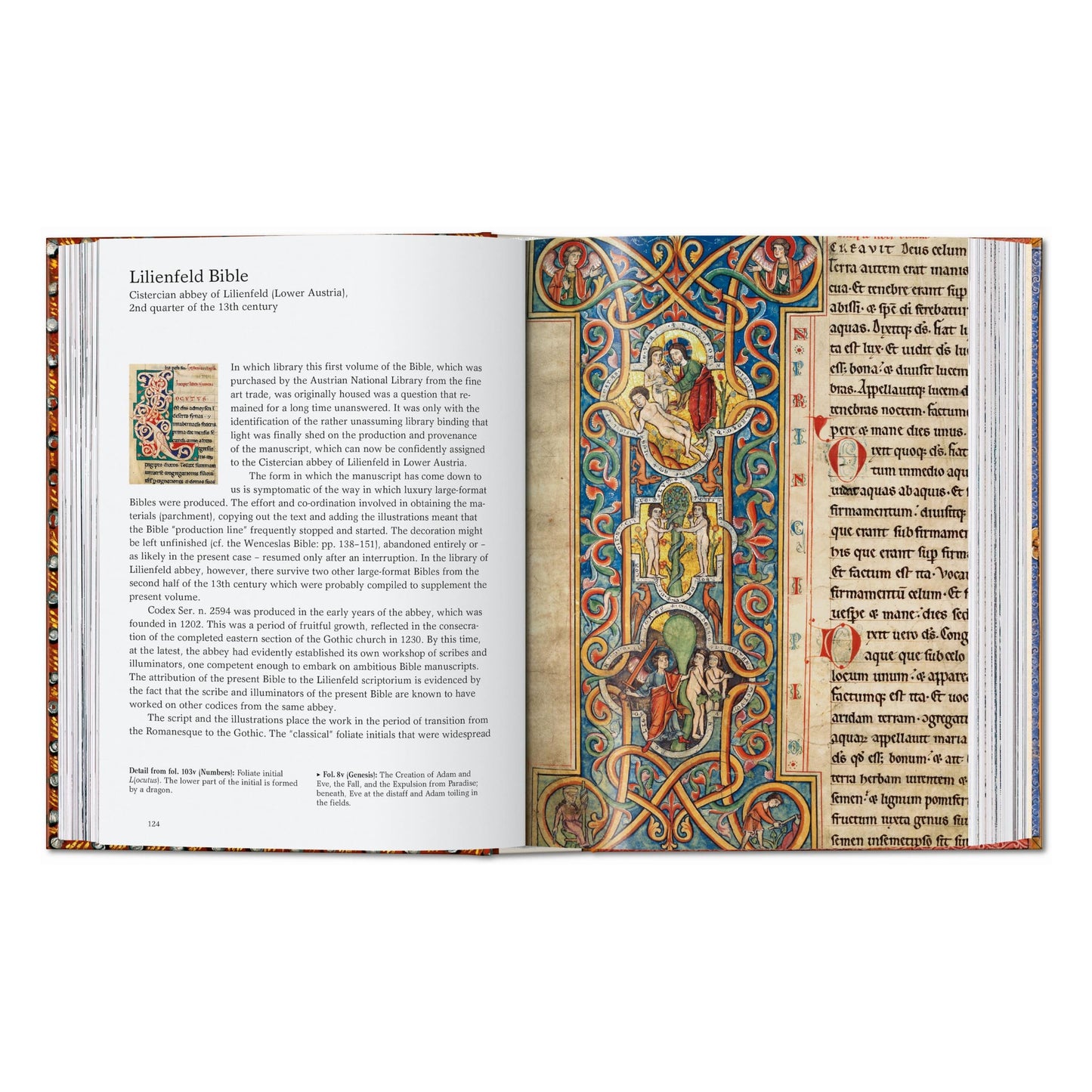 Das Buch der Bibeln. 40th Ed. (German)