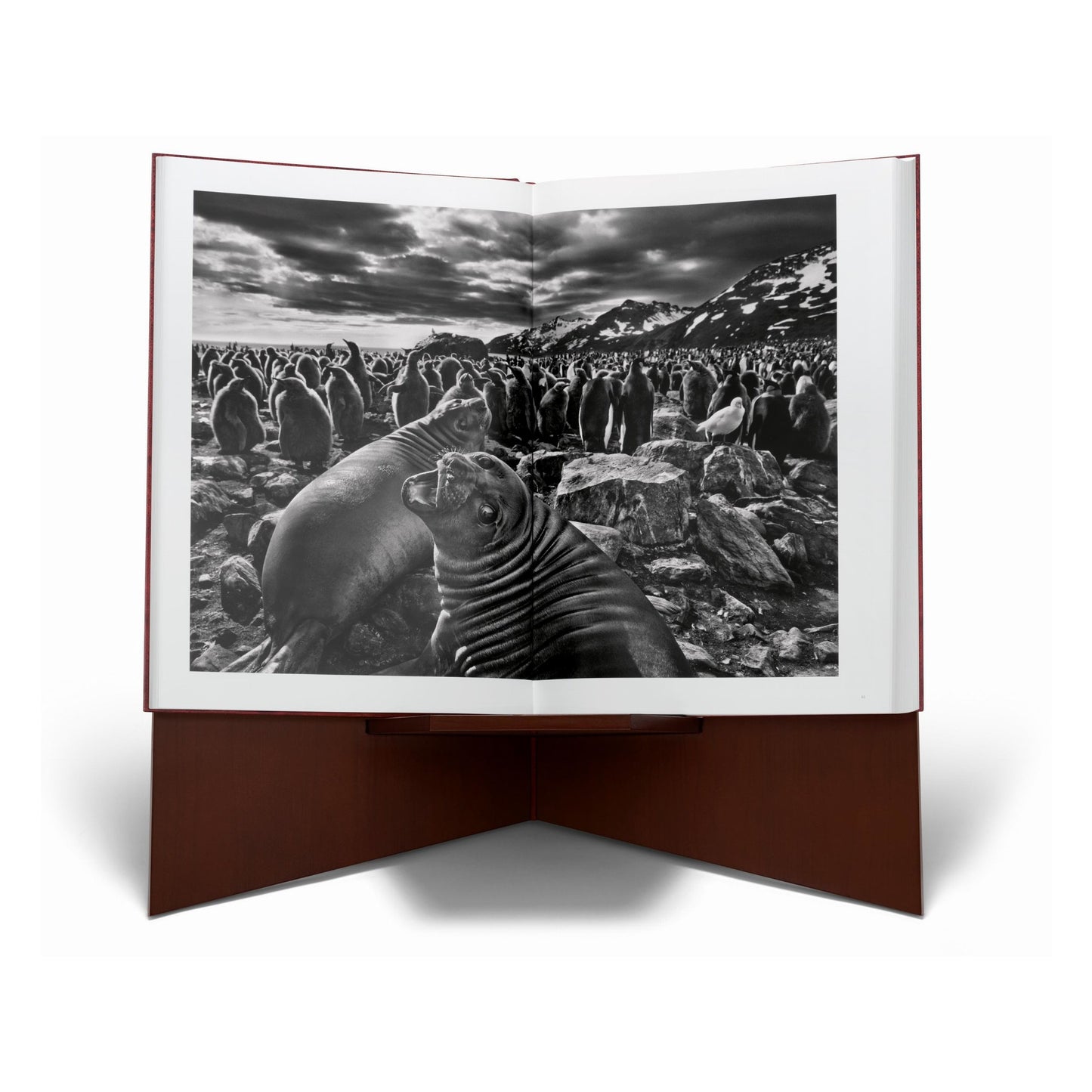 Sebastião Salgado. GENESIS, Art Edition No. 1–100 ‘Two Mursi Women, Omo Valley, Ethiopia’ (English) (AP)