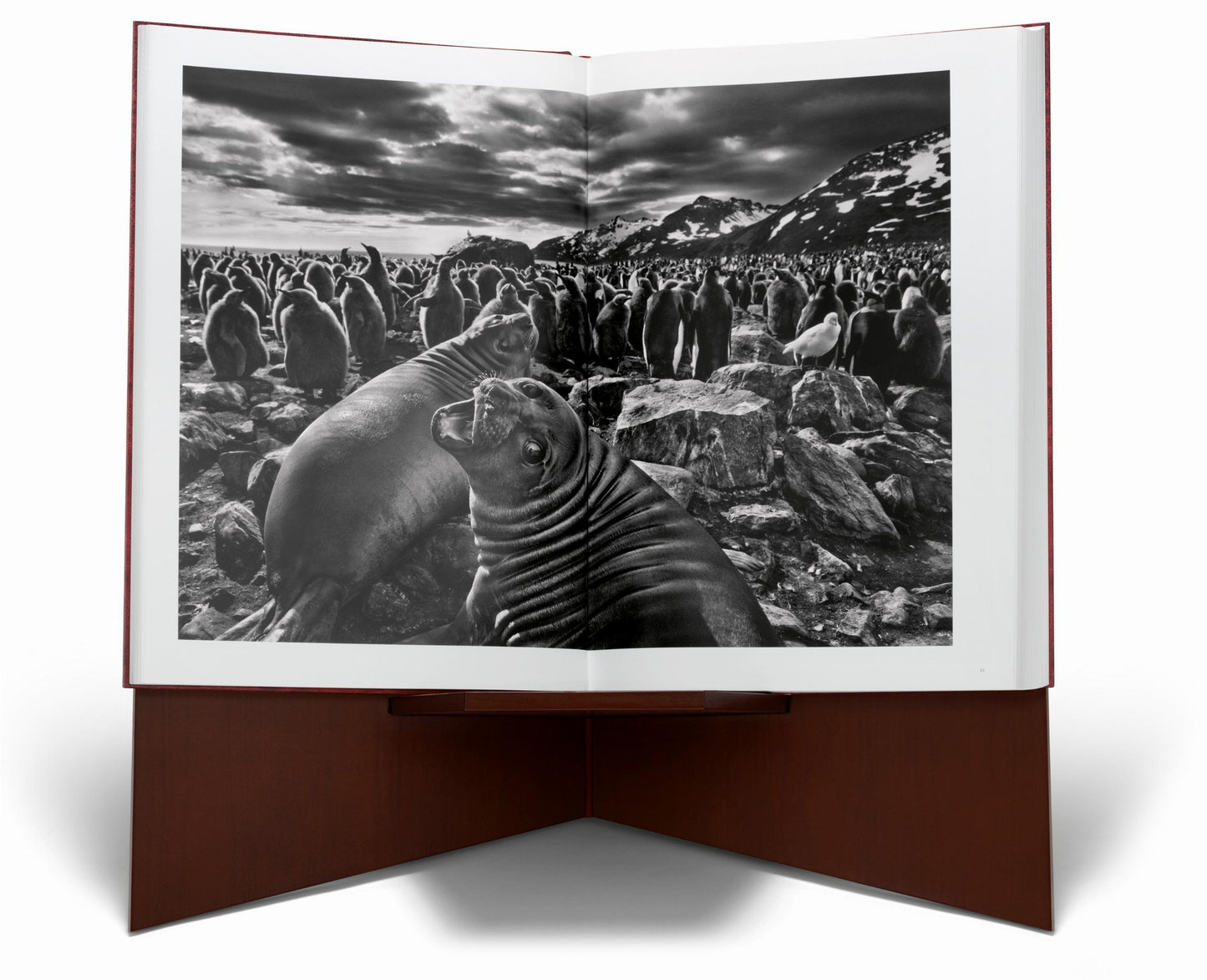 Sebastião Salgado. GENESIS, Art Edition No. 401–500 ‘The Arctic National Wildlife Refuge, Alaska, USA’ (English)