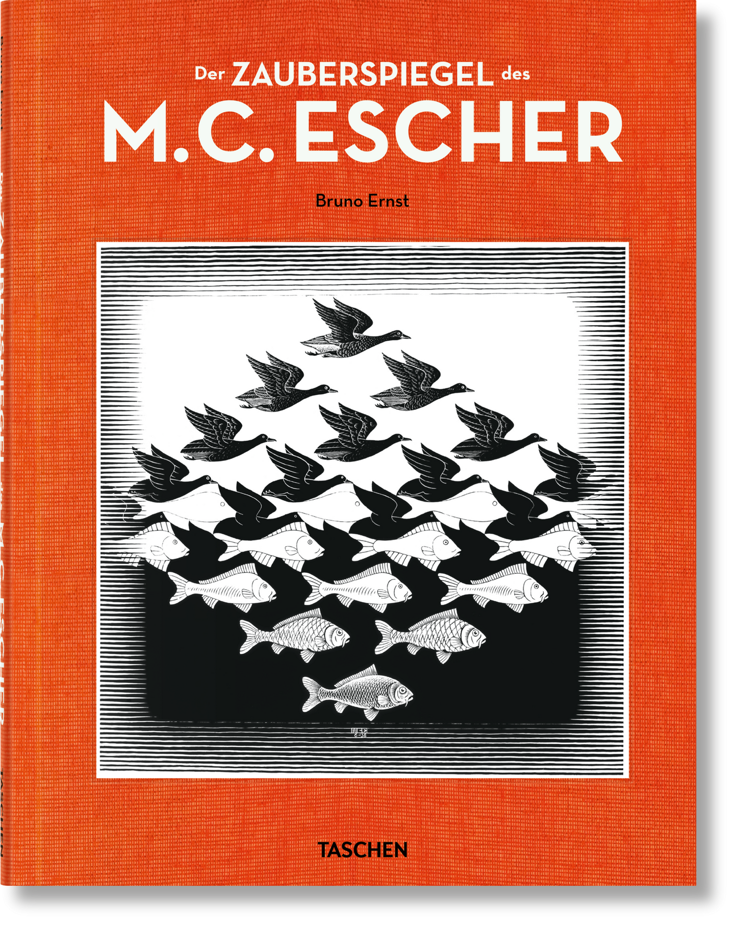 Der Zauberspiegel des M.C. Escher (German)