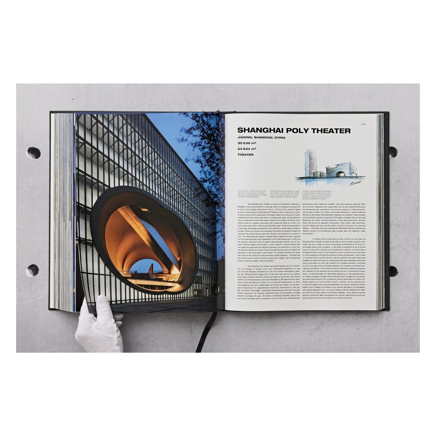 Ando. Complete Works 1975–Today. Art Edition (German, French, English) (SA)