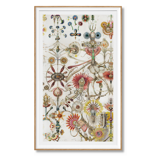 On NFTs. Art Edition No. 1–100, Sofia Crespo ‘{{floral automata_1236}}’ (English)