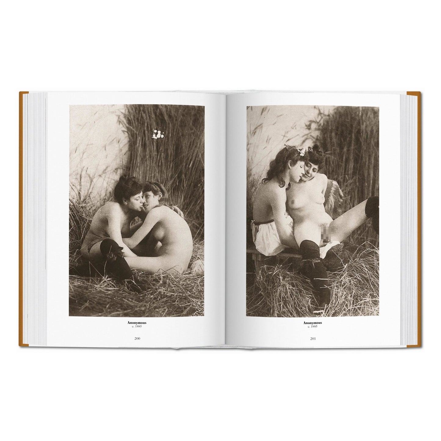 1000 Nudes. A History of Erotic Photography from 1839-1939 (German, French, English)