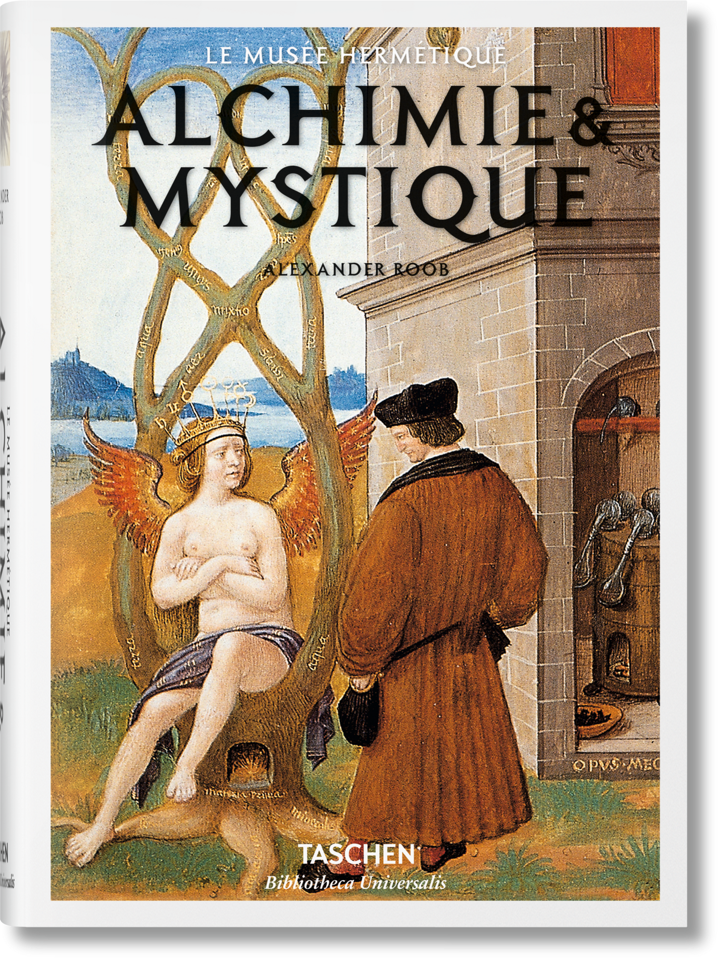 Alchimie & Mystique (French)