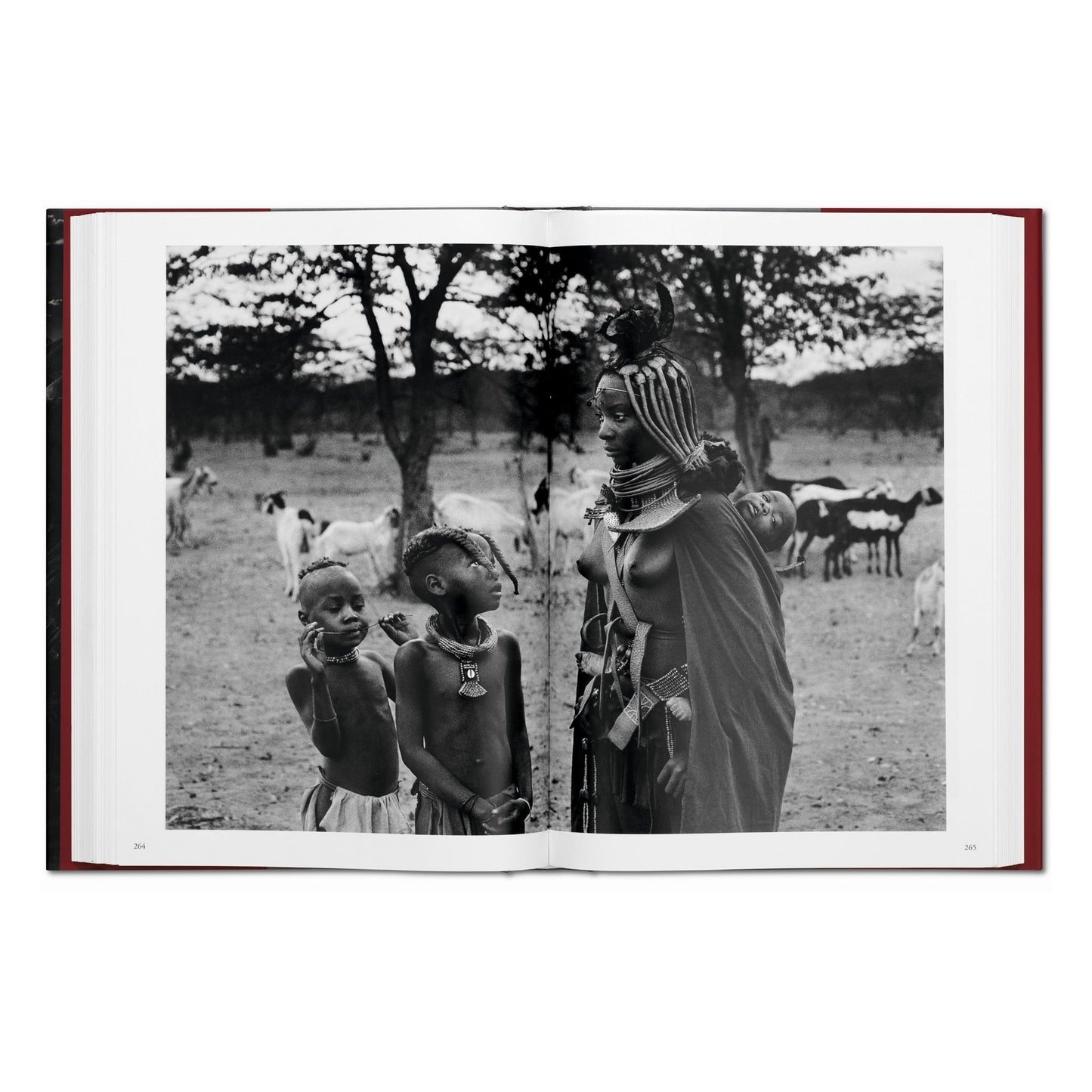 Sebastião Salgado. Genesis (French)