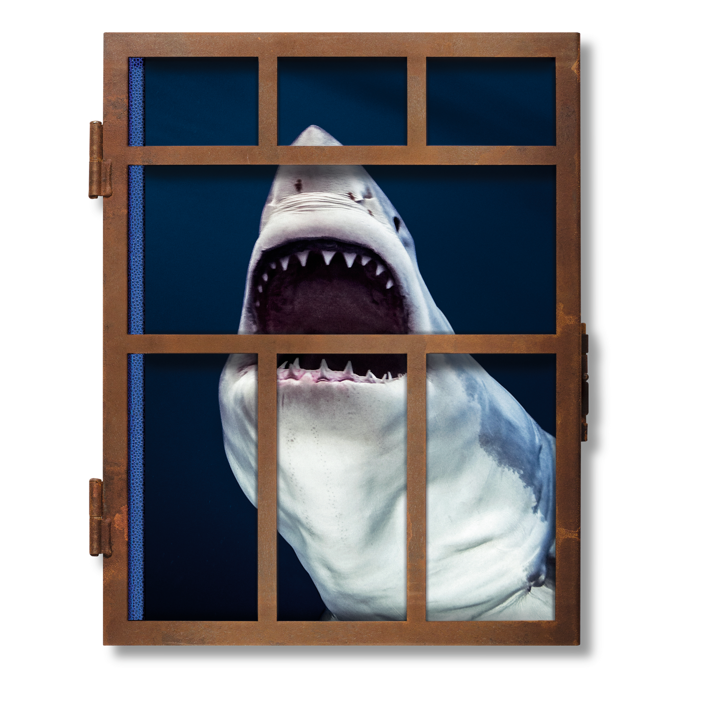 Michael Muller. Sharks (English) (SA)