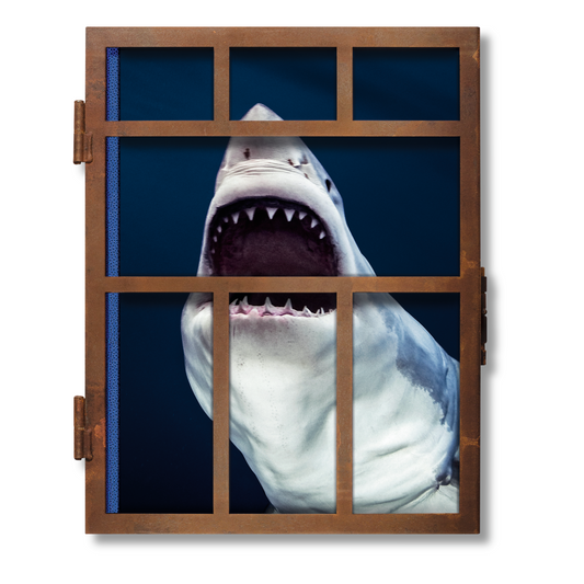 Michael Muller. Sharks (English) (SA)