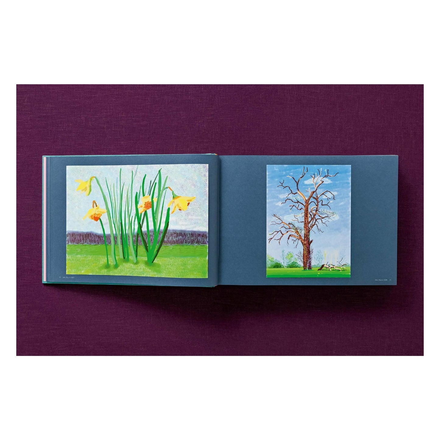 David Hockney. 220 for 2020. Art Edition No. 201–300 ‘Two Chairs and Rain on Window’ (English)