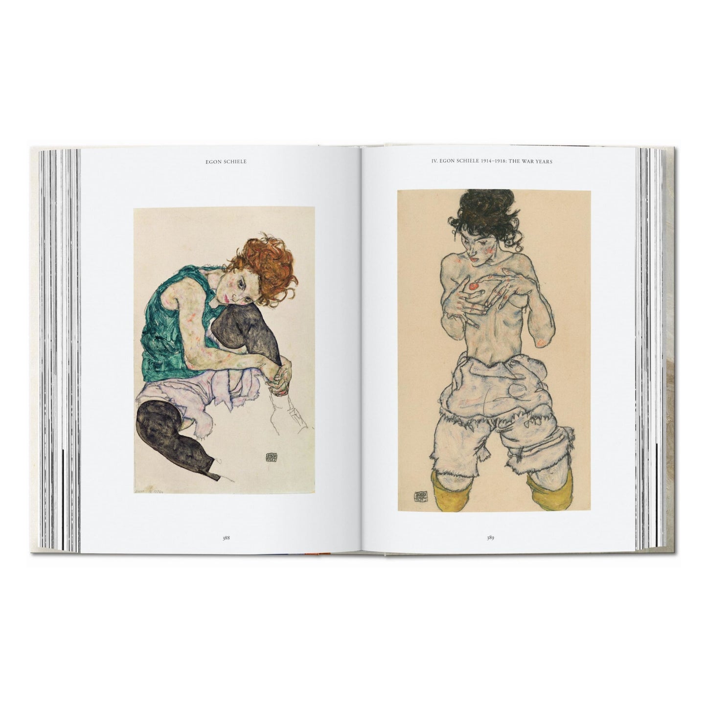 Egon Schiele. Les peintures. 40th Ed. (French)