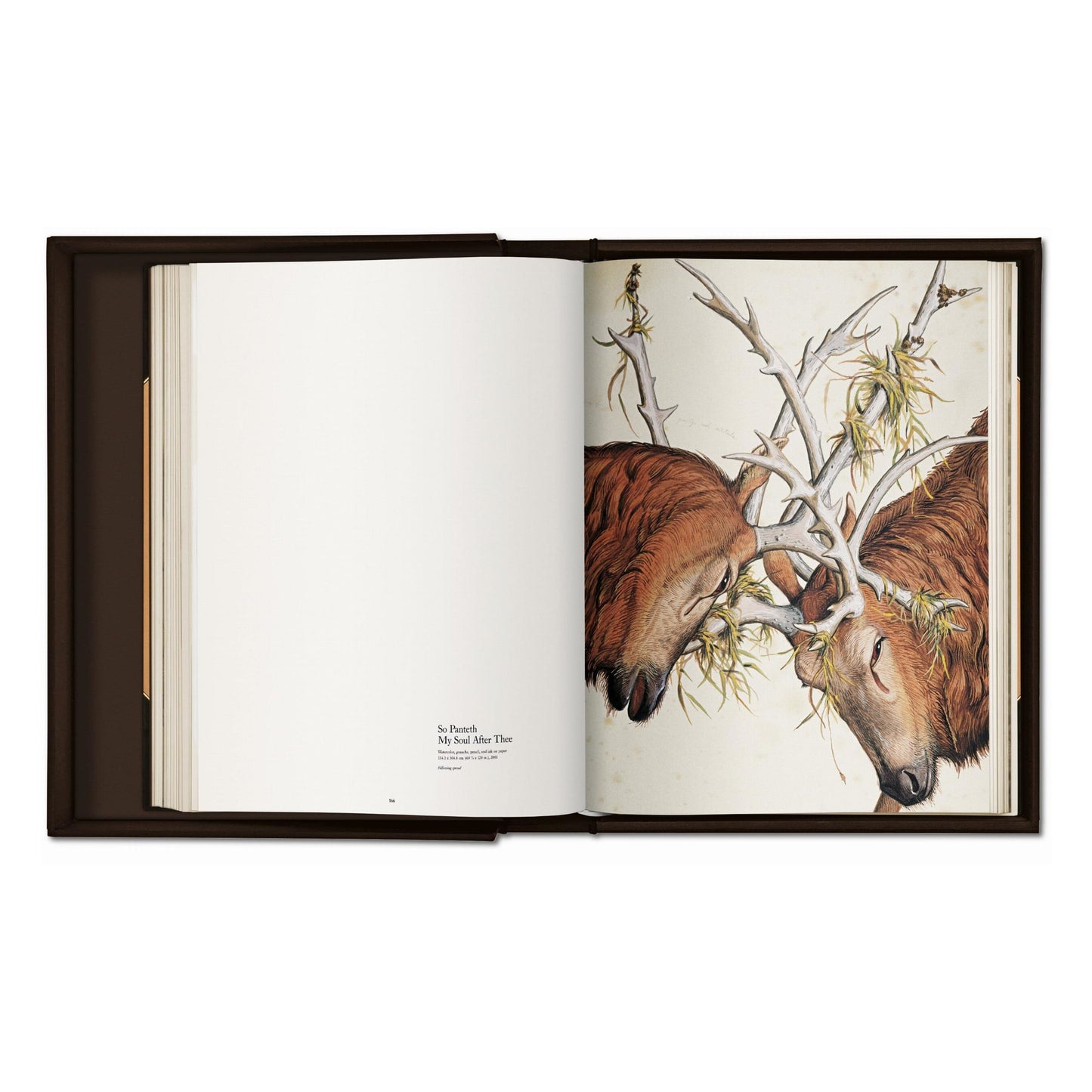 Walton Ford. Pancha Tantra (German, French, English) (SA)