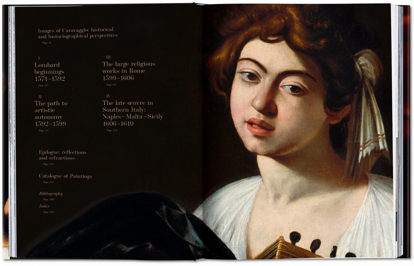 Caravage. L’œuvre complet (French)