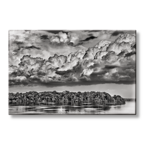 Sebastião Salgado. Amazônia. Magnet ‘Parana’