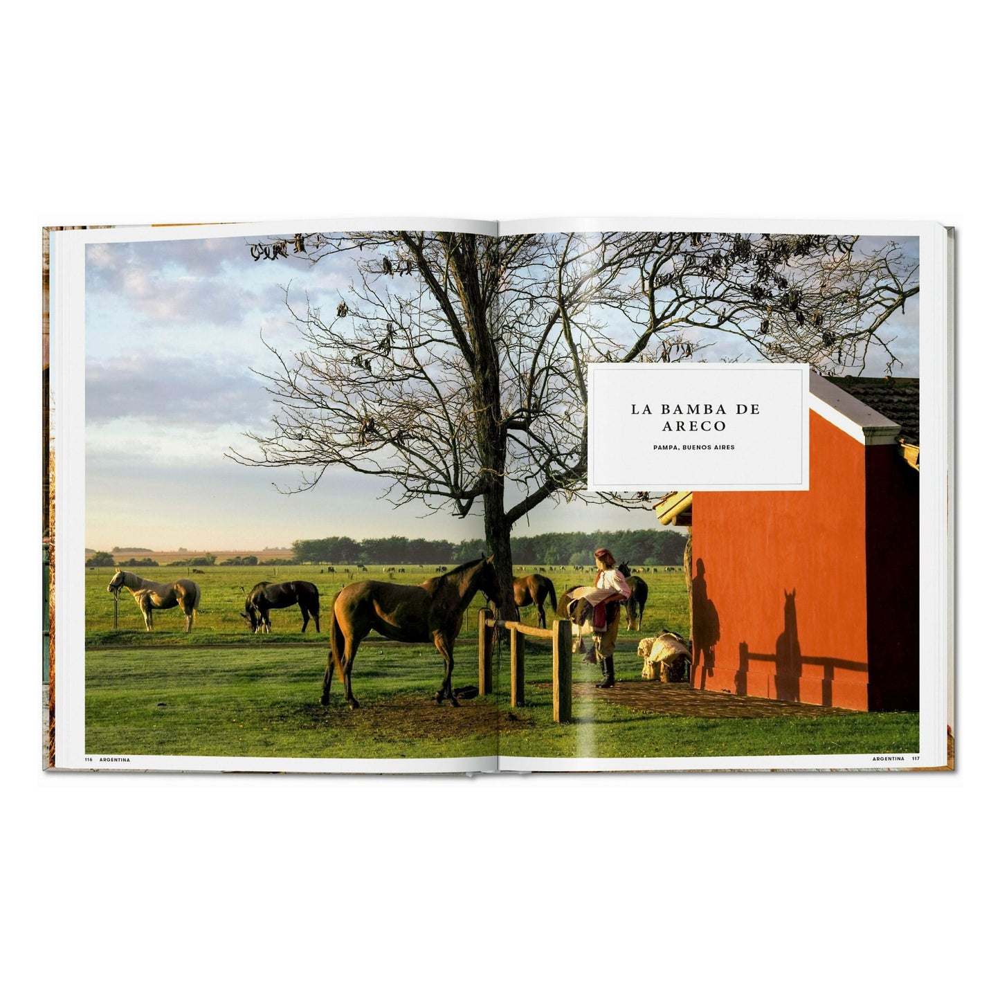 Great Escapes Latin America. The Hotel Book (Spanish, Italian, Portuguese)