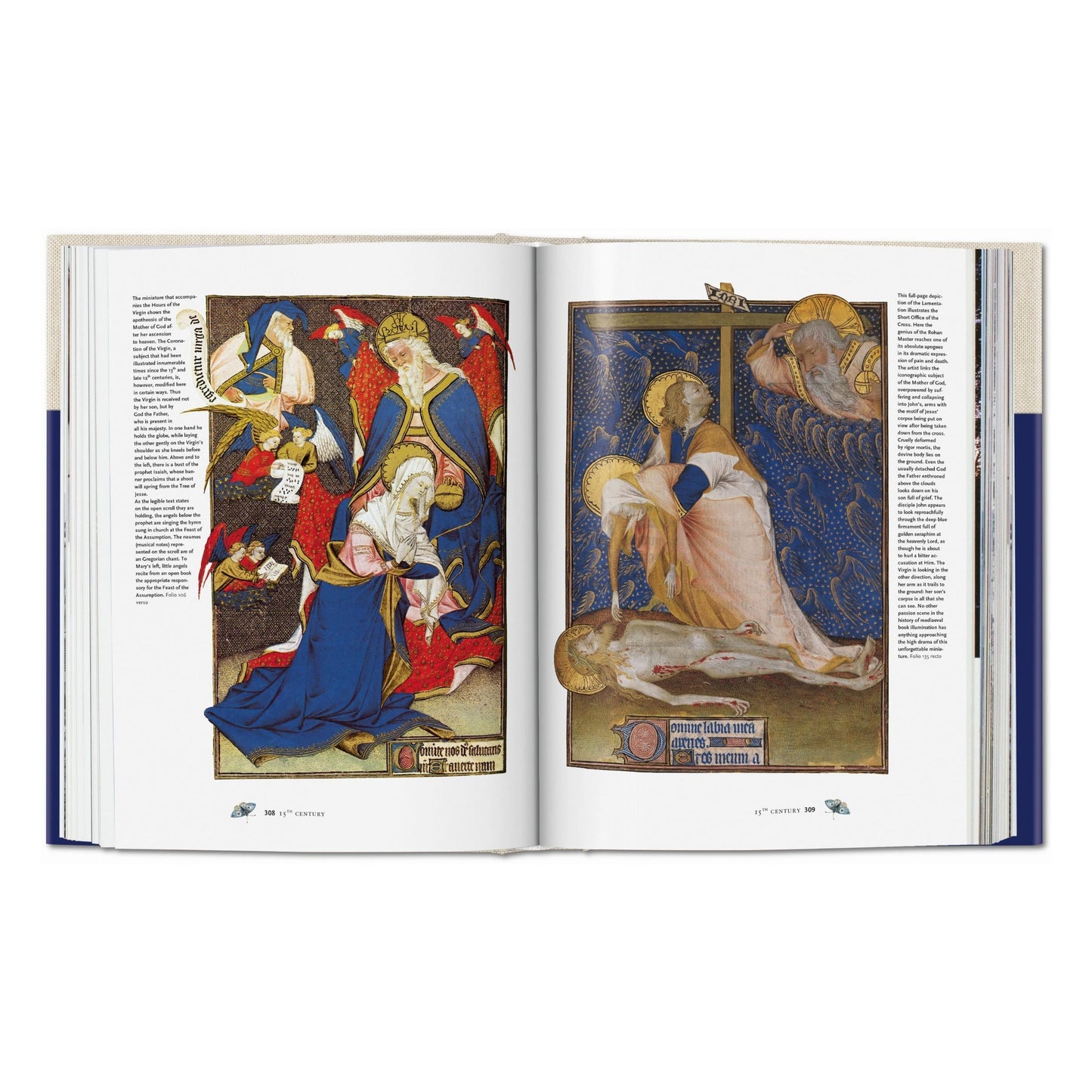 Codices illustres. Die schönsten illuminierten Handschriften der Welt 400 bis 1600 (German)