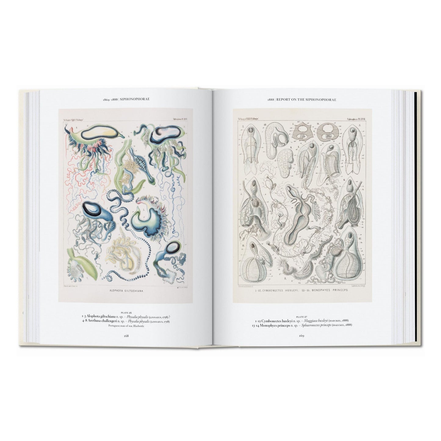 Ernst Haeckel. Kunst und Wissenschaft. 45th Ed. (German)
