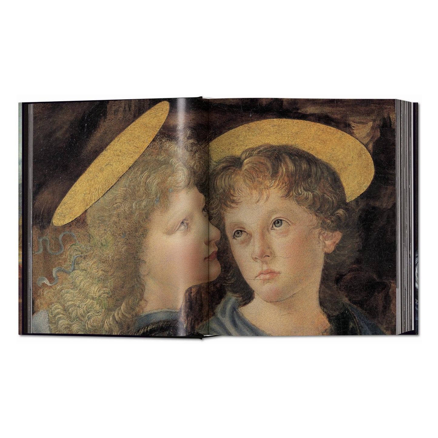 Leonardo. Tutti i dipinti e disegni (Italian)