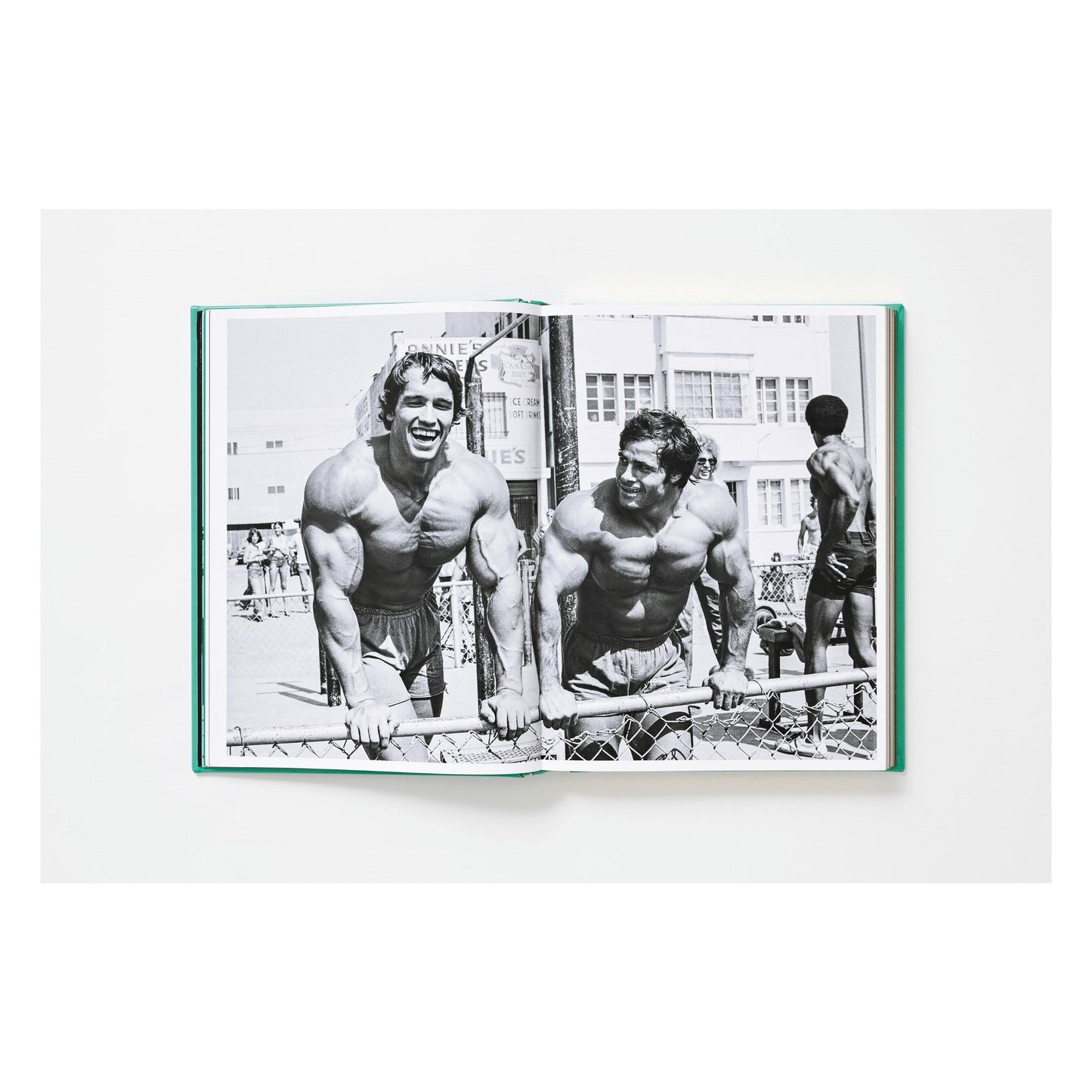 ARNOLD. Collector's Edition (English) (SA)