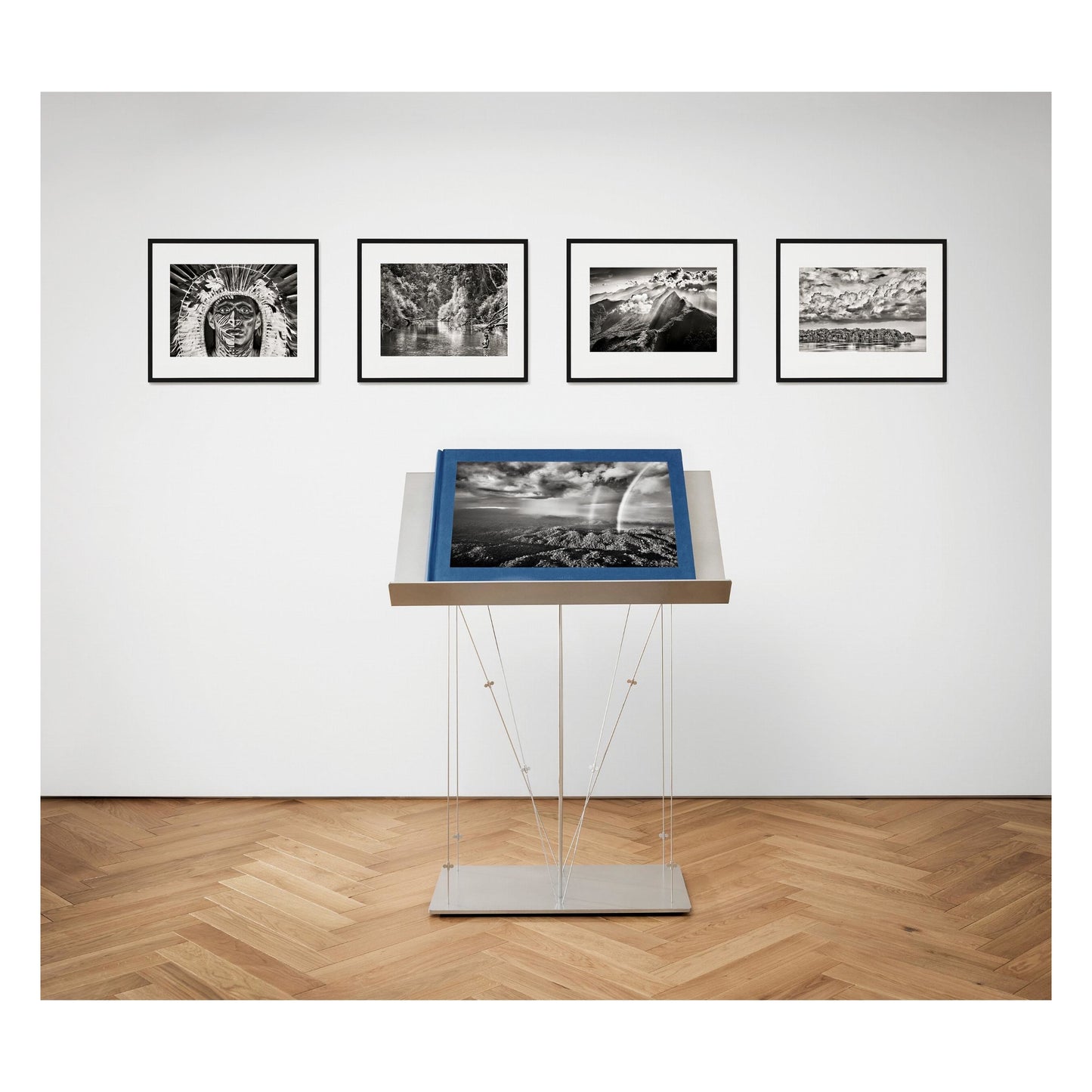 Sebastião Salgado. Amazônia. Art D (English) (AP)