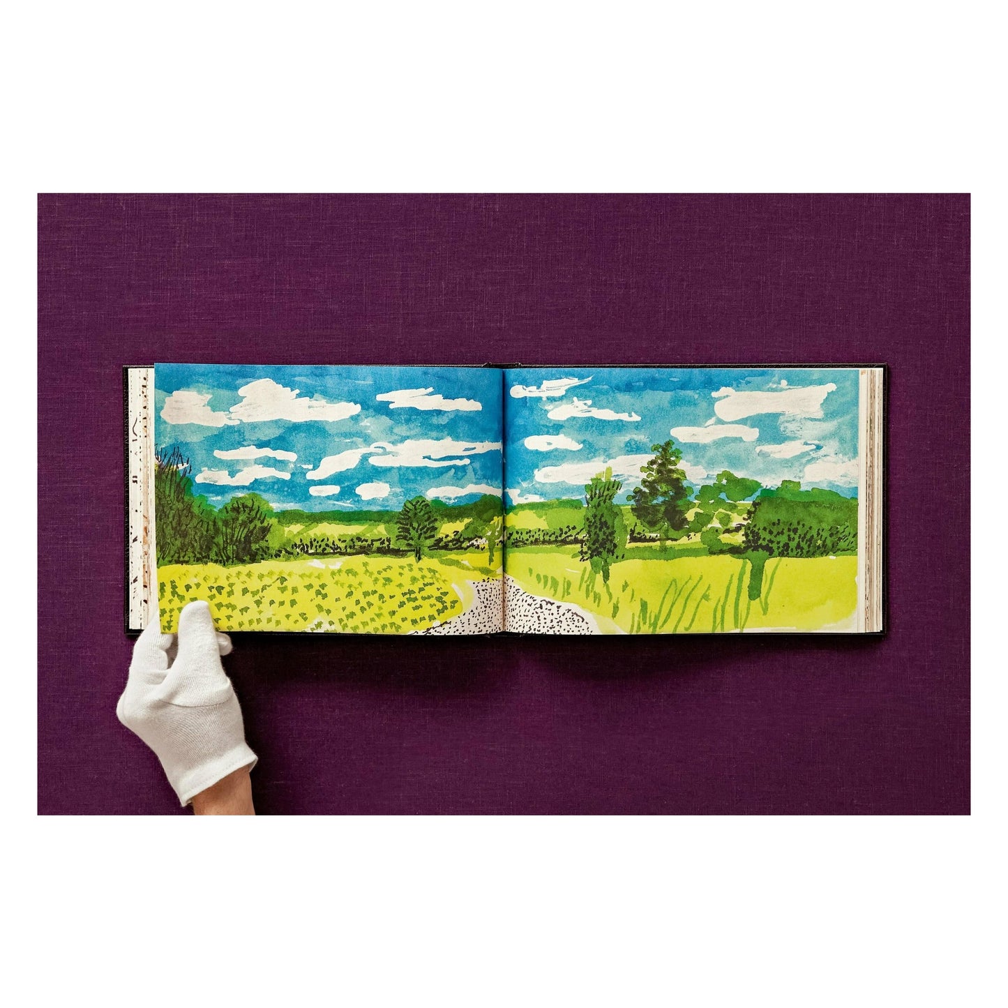 David Hockney. 220 for 2020 (English)