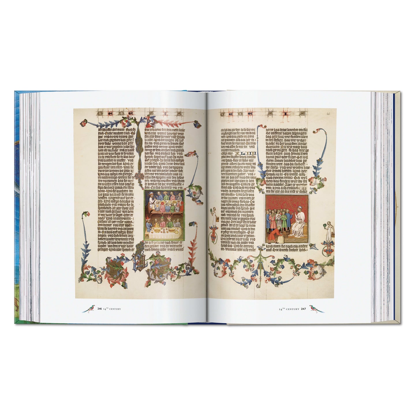 Codices illustres. Los manuscritos iluminados más bellos del mundo desde 400 hasta 1600 (Spanish)