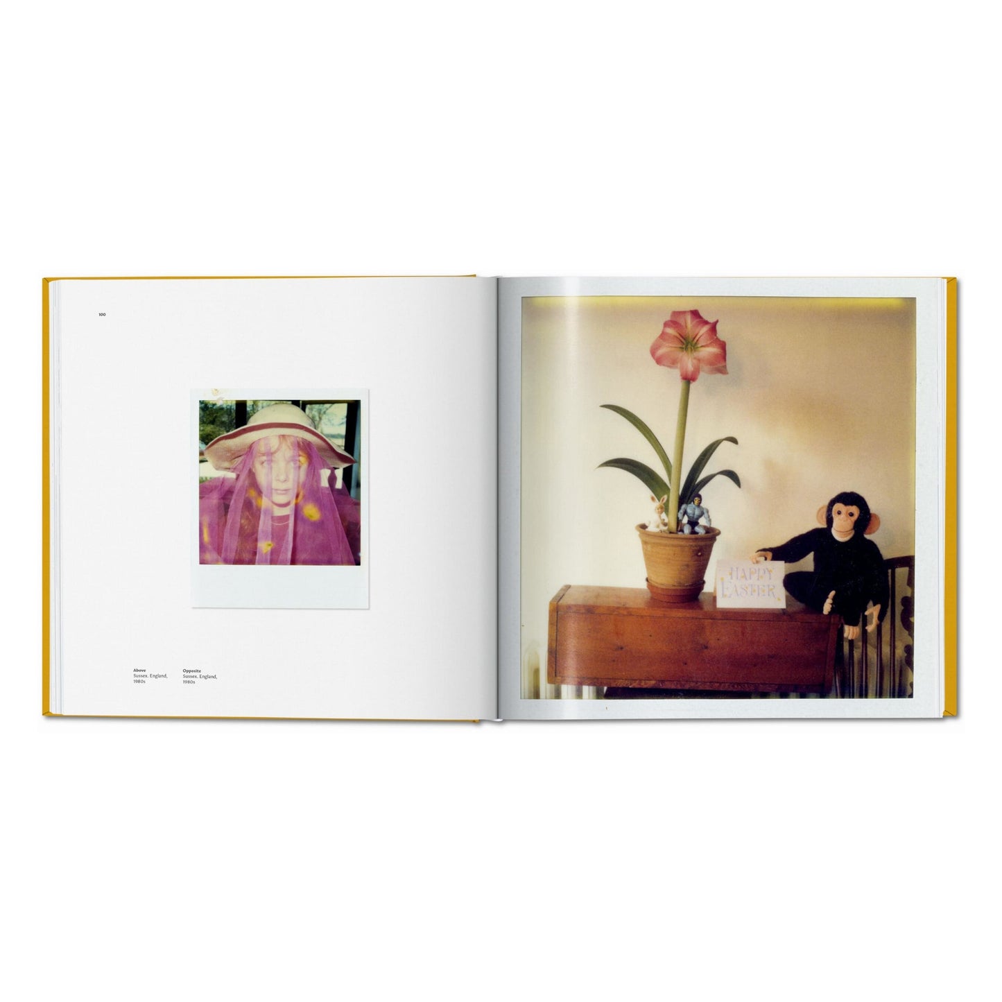 Linda McCartney. The Polaroid Diaries (German, French, English) (SA)