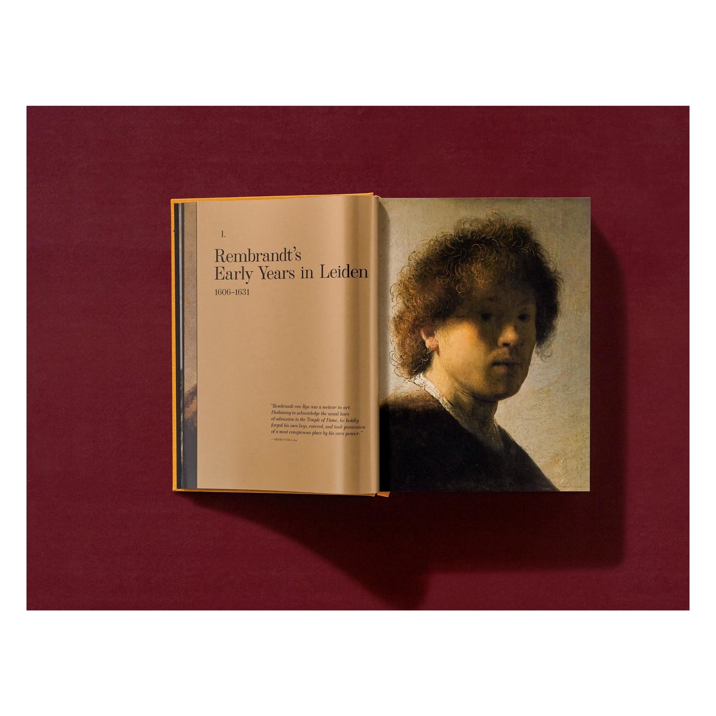 Rembrandt. Tout l'œuvre peint (French)
