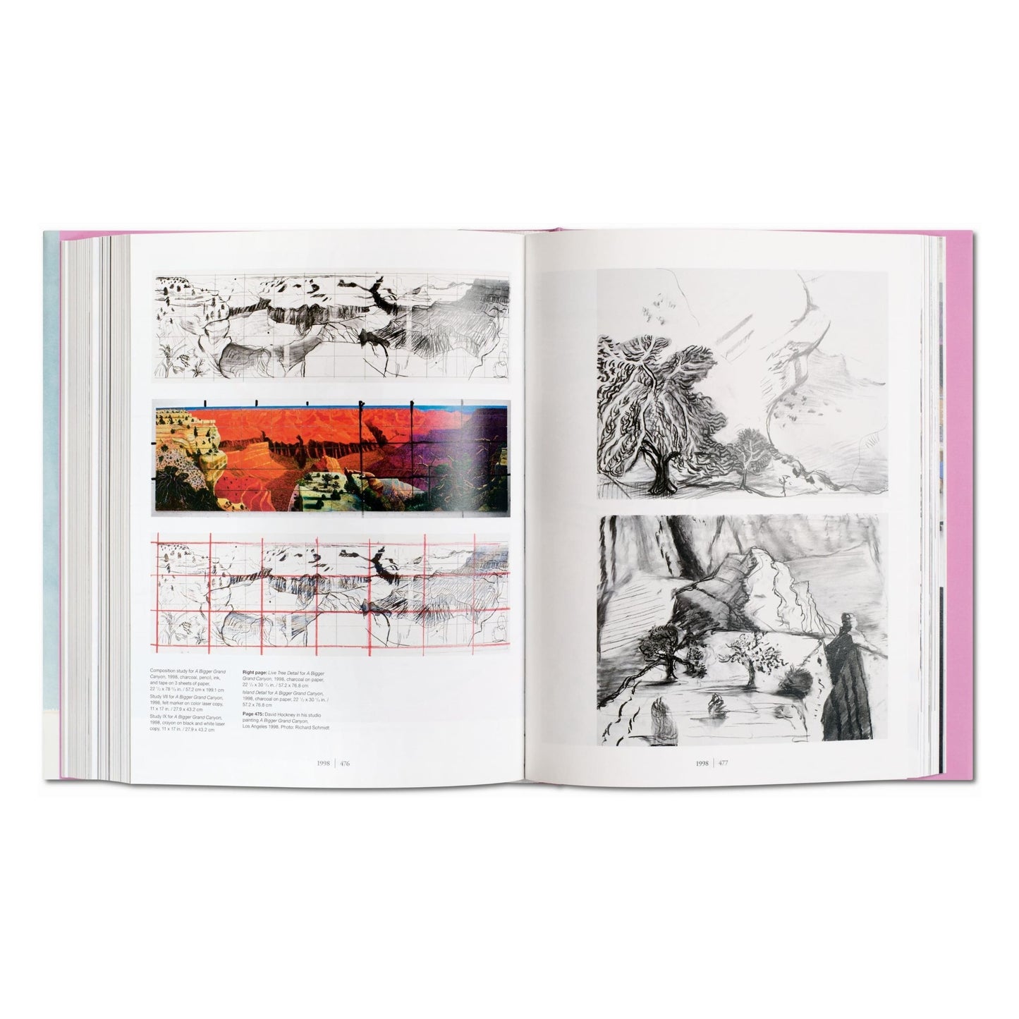 David Hockney. A Bigger Book (English) (SA)