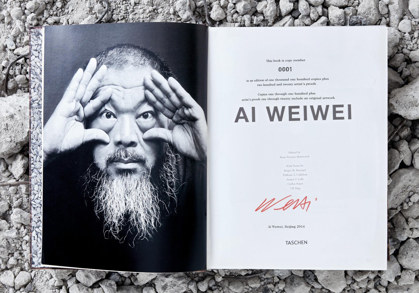 Ai Weiwei (German, French, English)