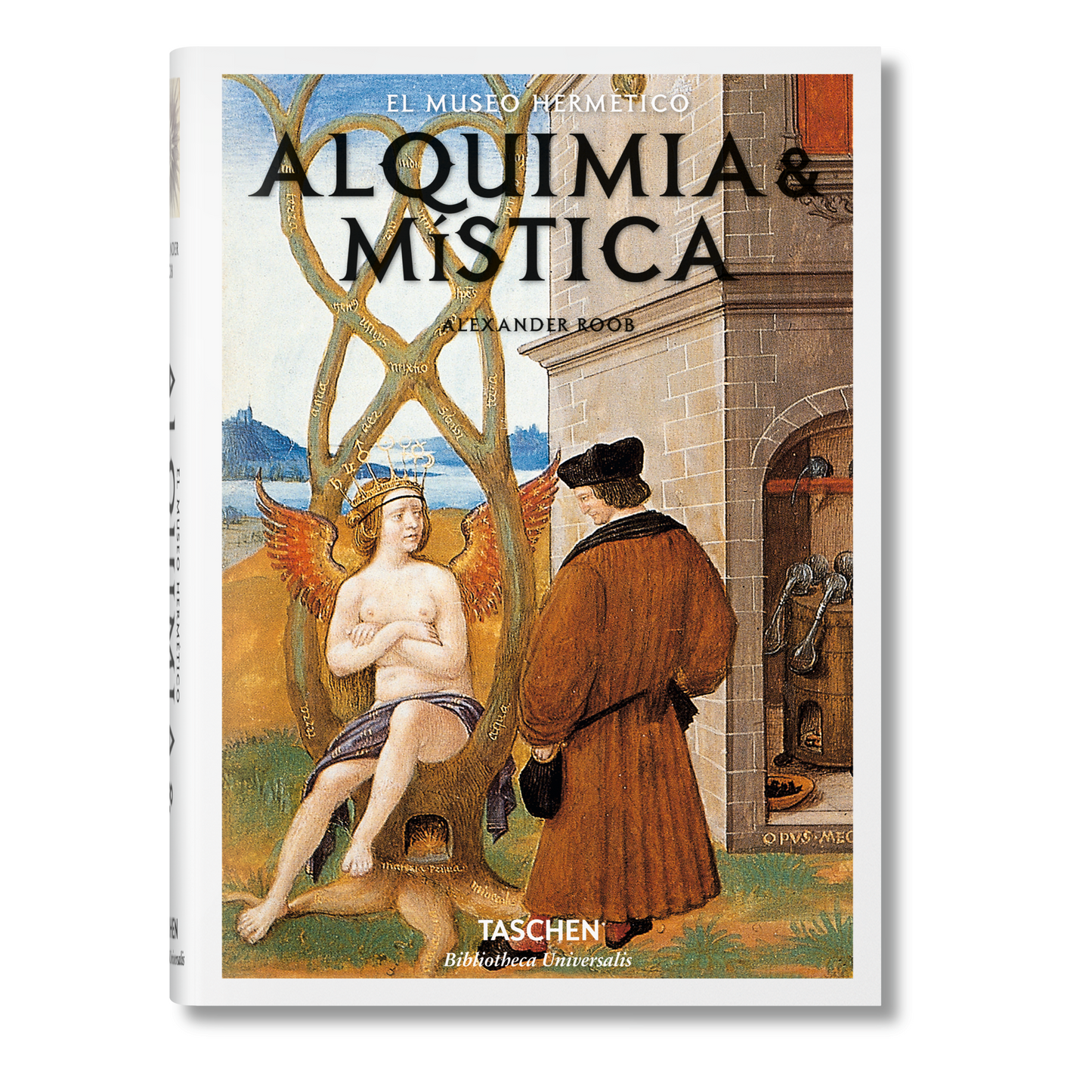 Alquimia & mística (Spanish)