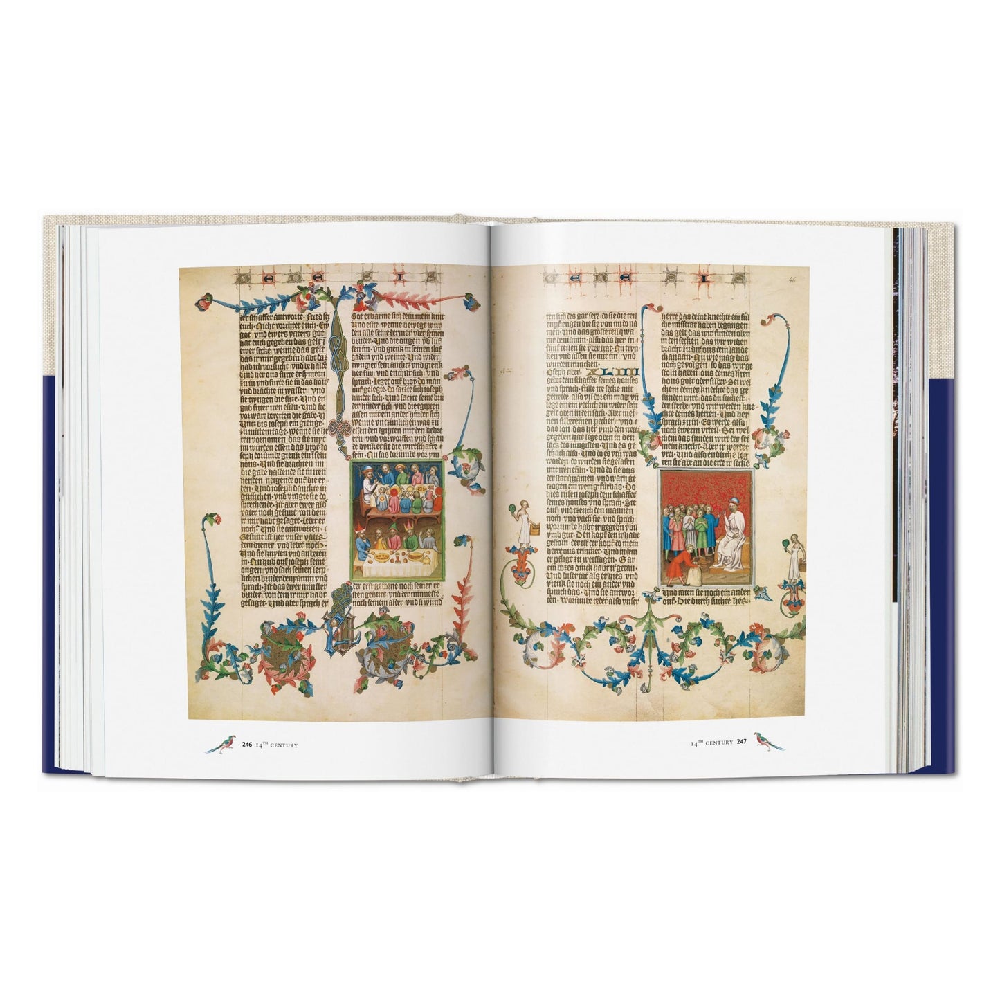 Codices illustres. I codici miniati più belli del mondo dal 400 al 1600 (Italian)