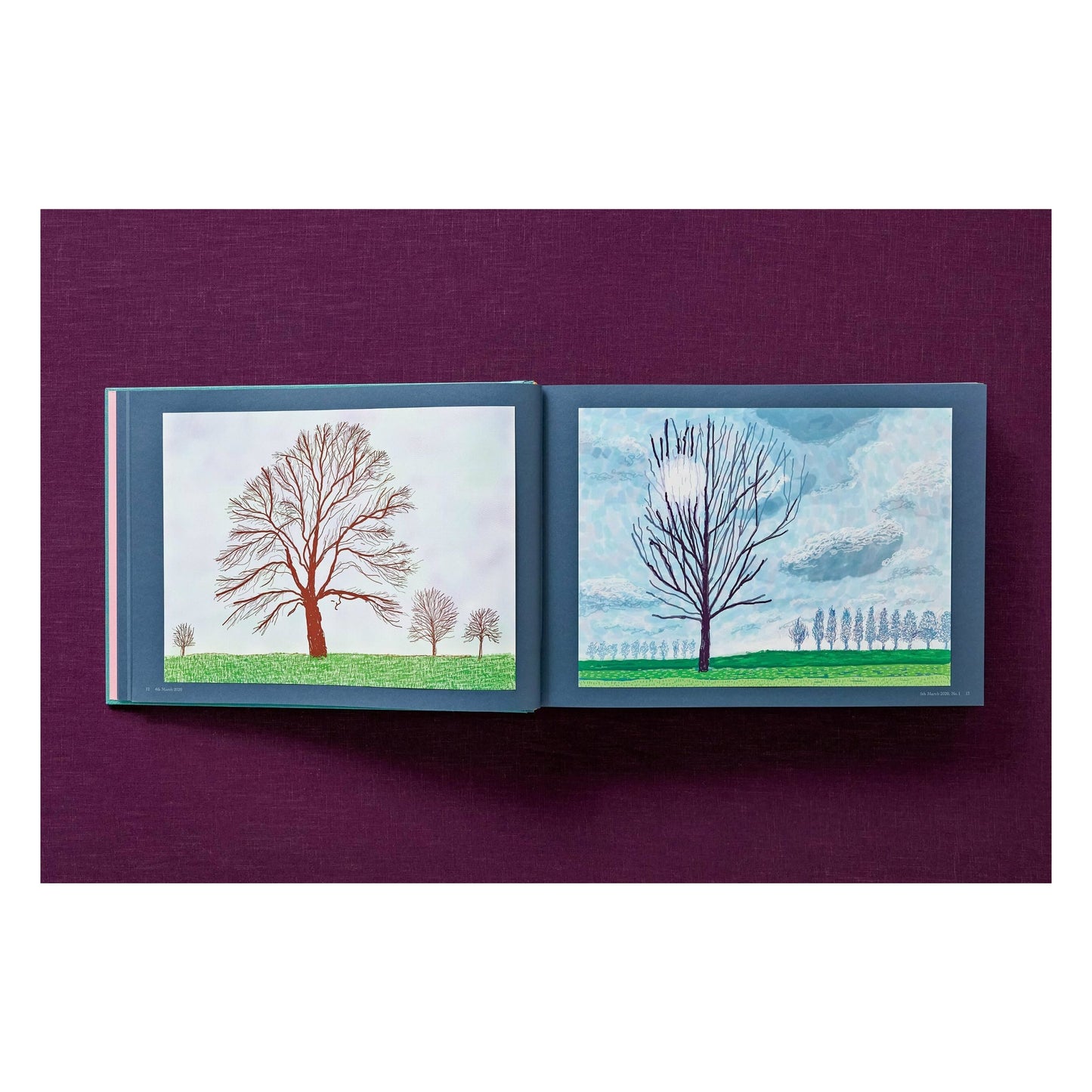 David Hockney. 220 for 2020. Art Edition No. 1–100 ‘Spilt Ink with Tests’ (English) (AP)