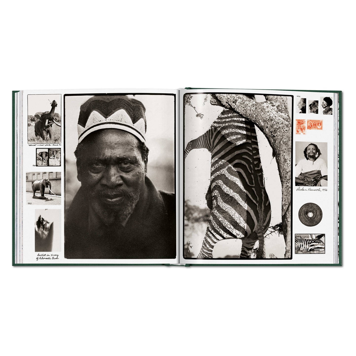 Peter Beard. The End of the Game (English)