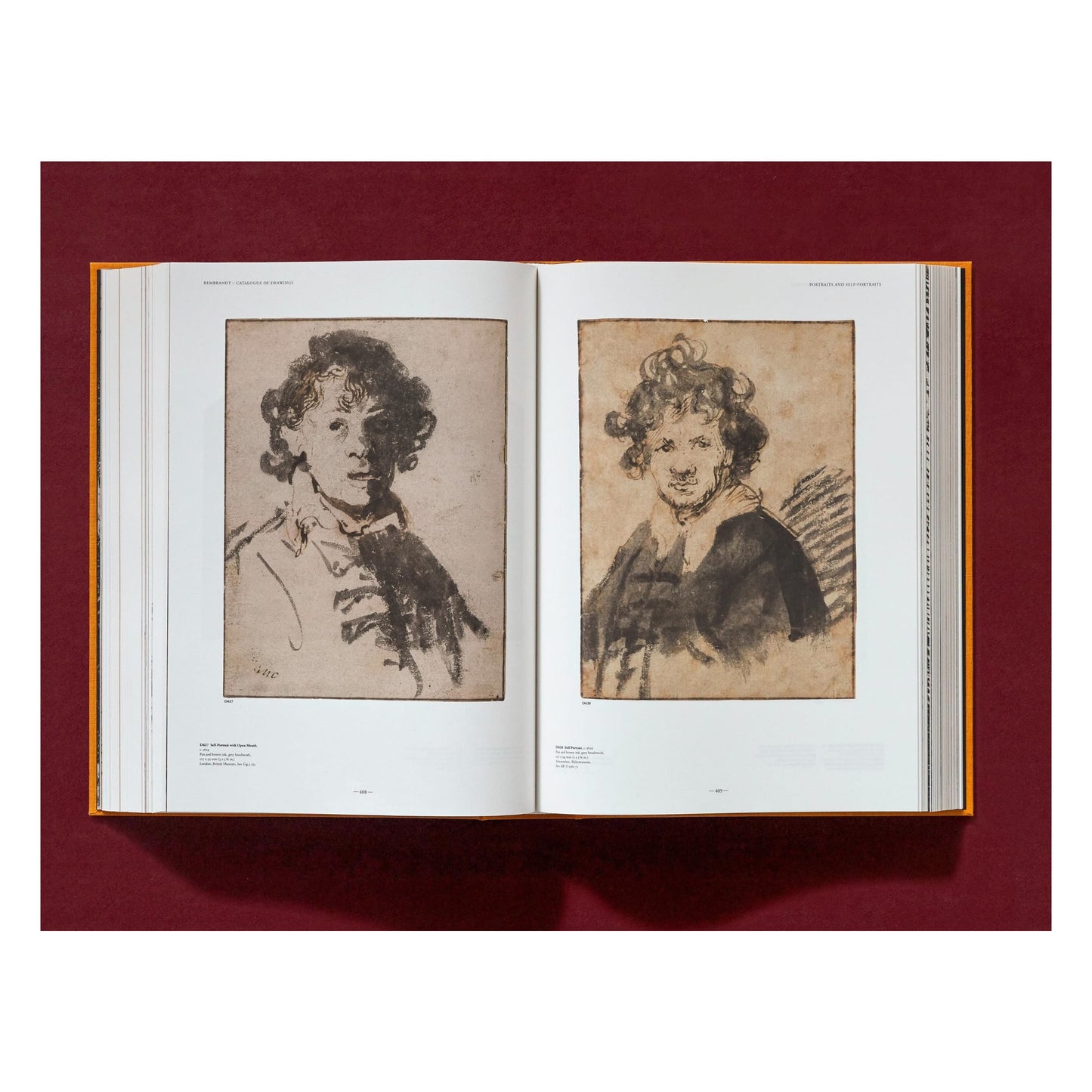 Rembrandt. Sämtliche Zeichnungen und Radierungen (German)