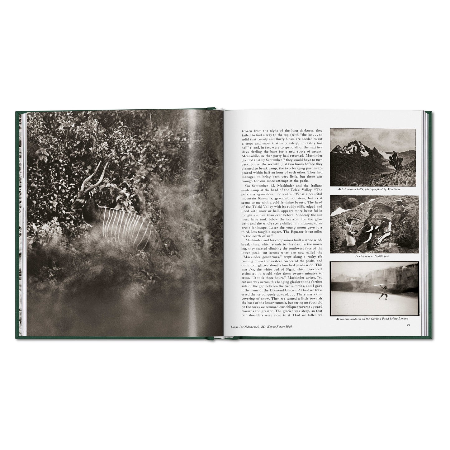 Peter Beard. The End of the Game (English)