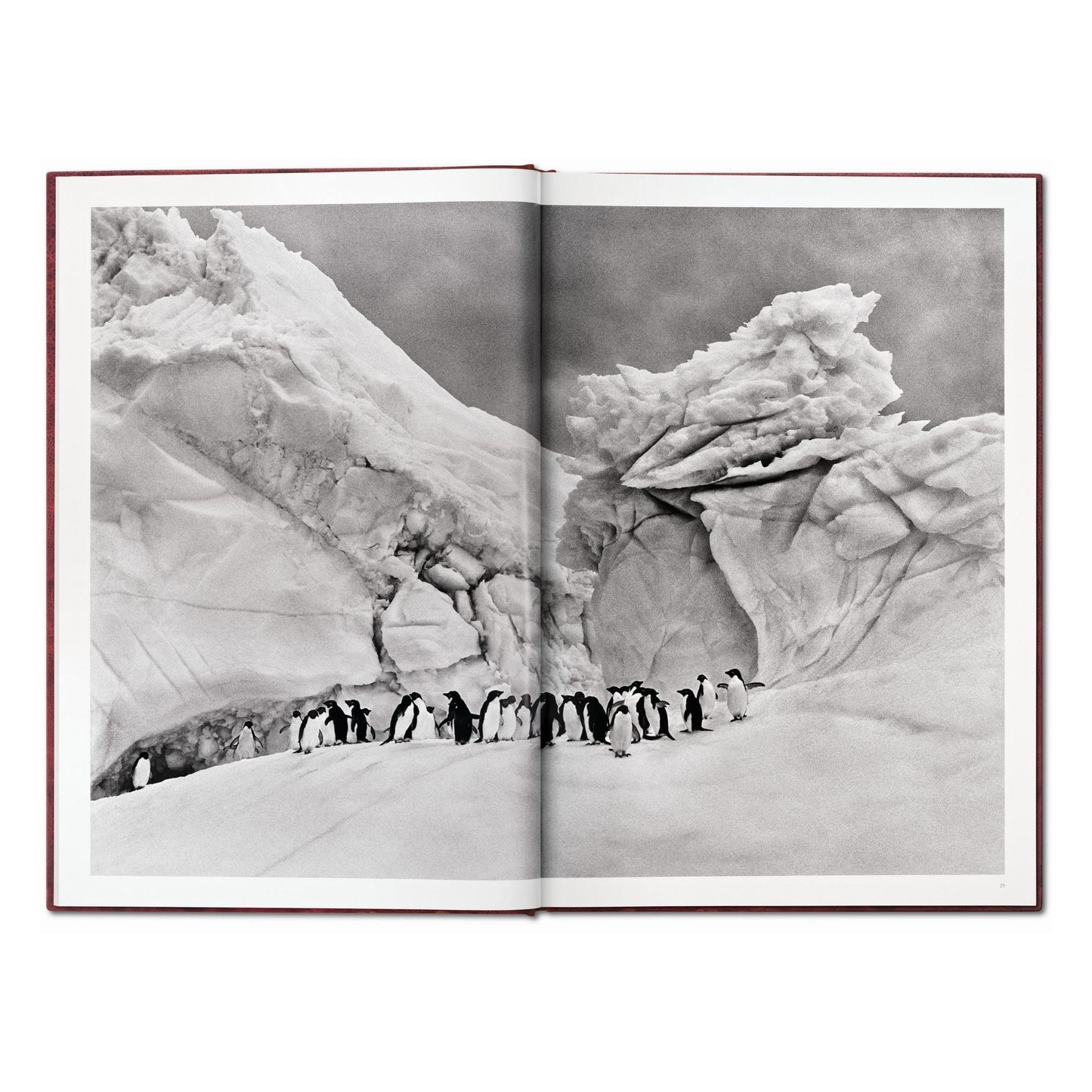 Sebastião Salgado. Genesis. Art Edition No. 101–200 ‘North of the Ob River, Yamal Peninsula, Siberia, Russia’ (English)