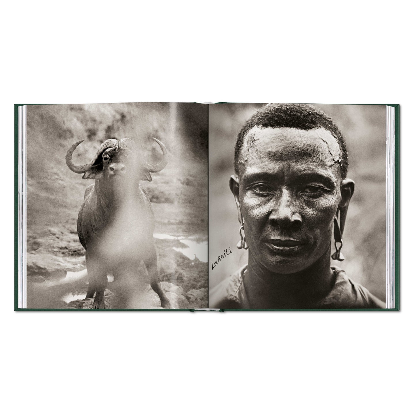 Peter Beard. The End of the Game (English)