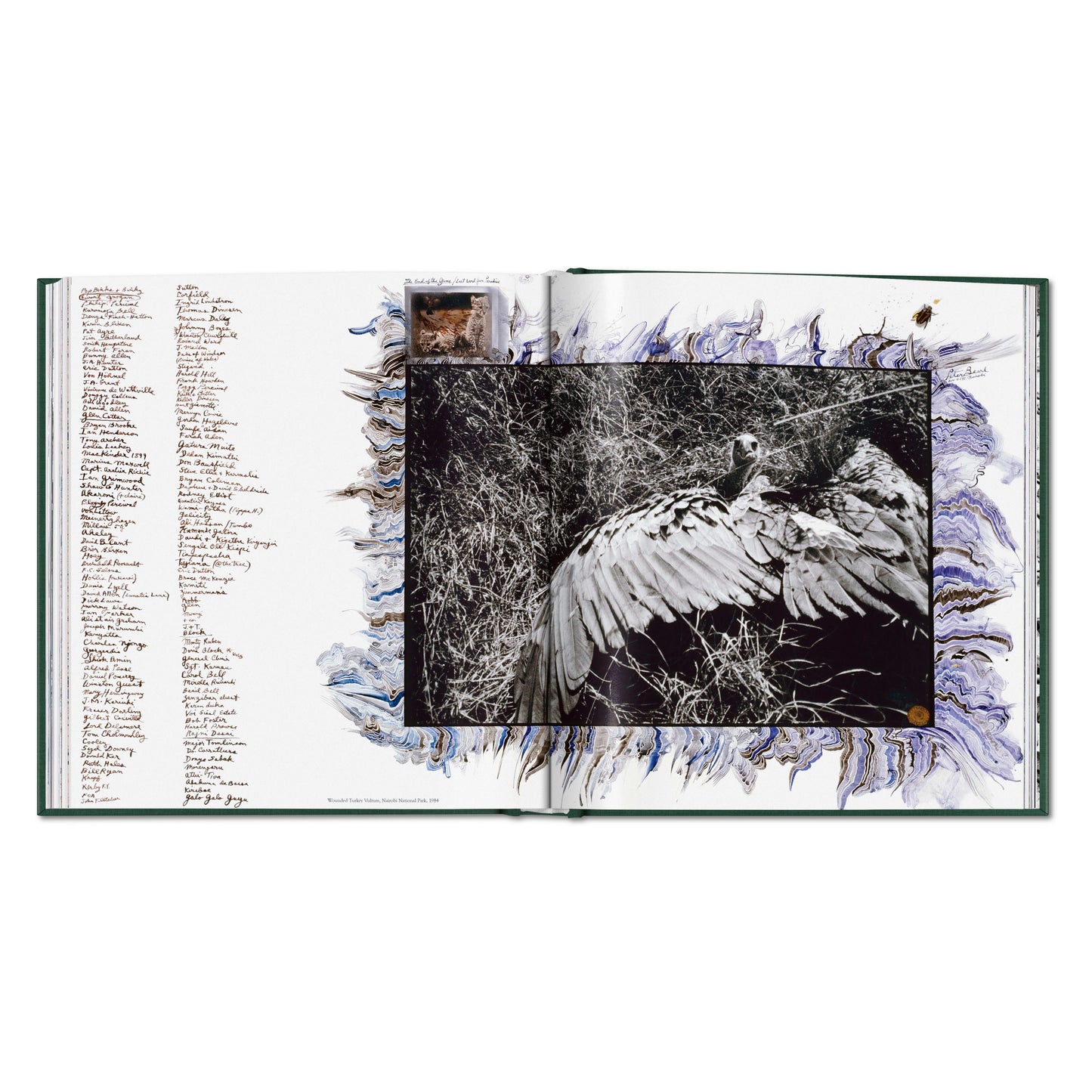 Peter Beard. The End of the Game (English)