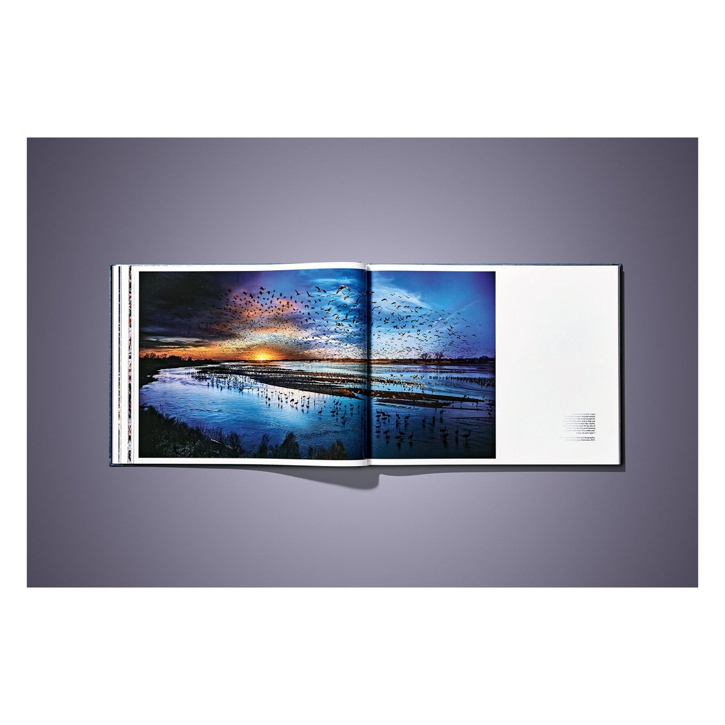 Stephen Wilkes. Day to Night. Art Edition No. 1–100 ‘Brooklyn Bridge, New York City, 2016’ (German, French, English)