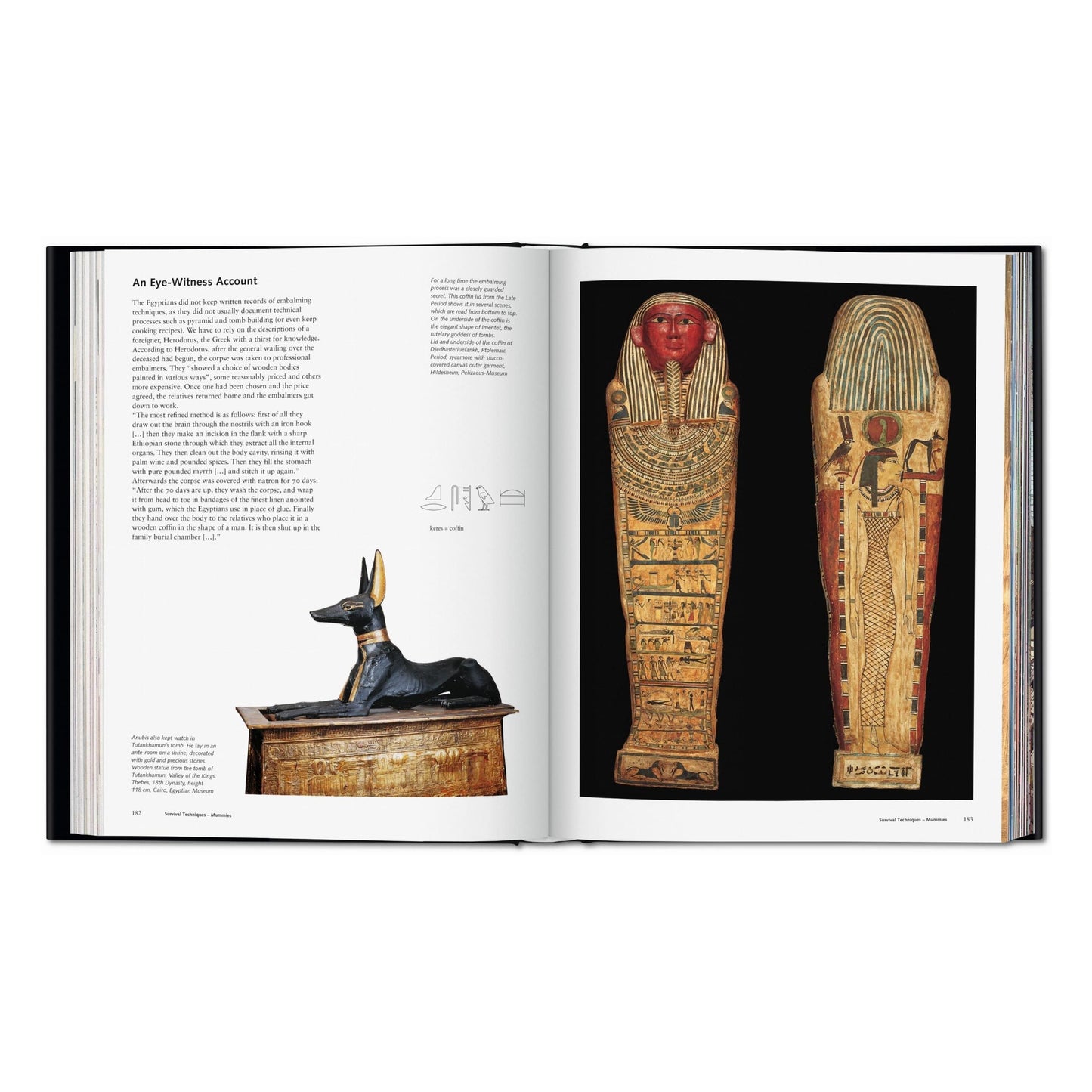 Egypt. People, Gods, Pharaohs (English)