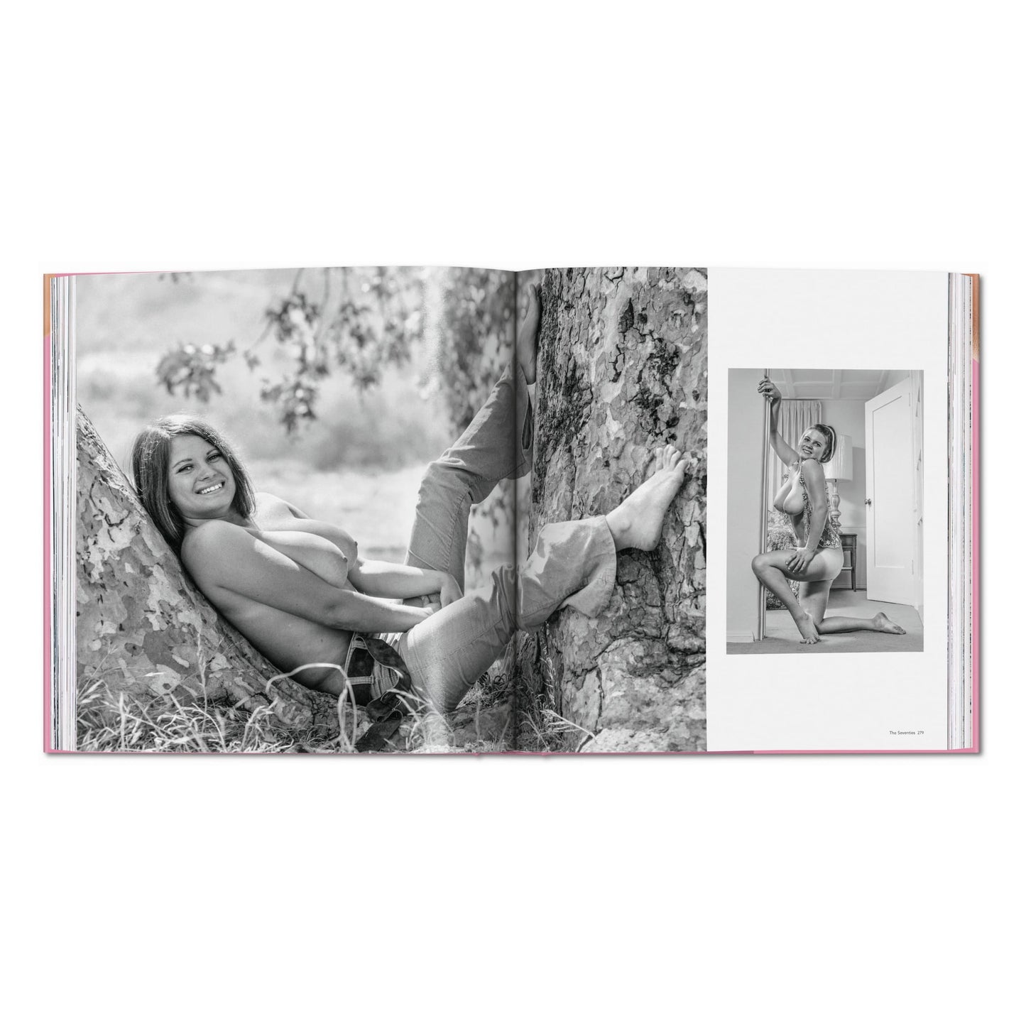 The Bigger Book of Breasts (English)
