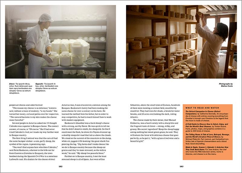 The New York Times. Cultured Traveler. 100 Reisen für Weltenbummler von Agadir bis Yogyakarta (German)
