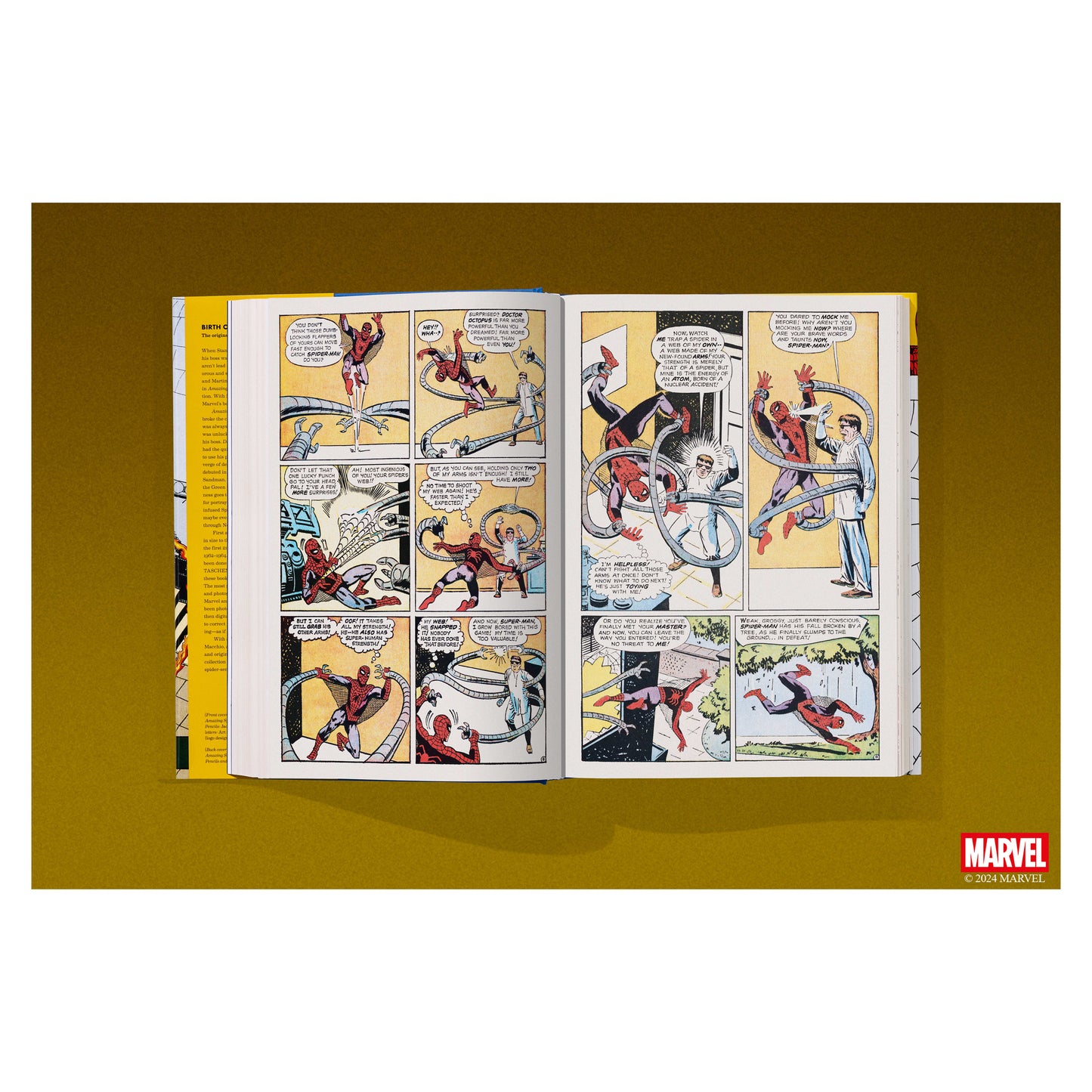 Marvel Comics Library. Spider-Man. 1962–1964 (English)