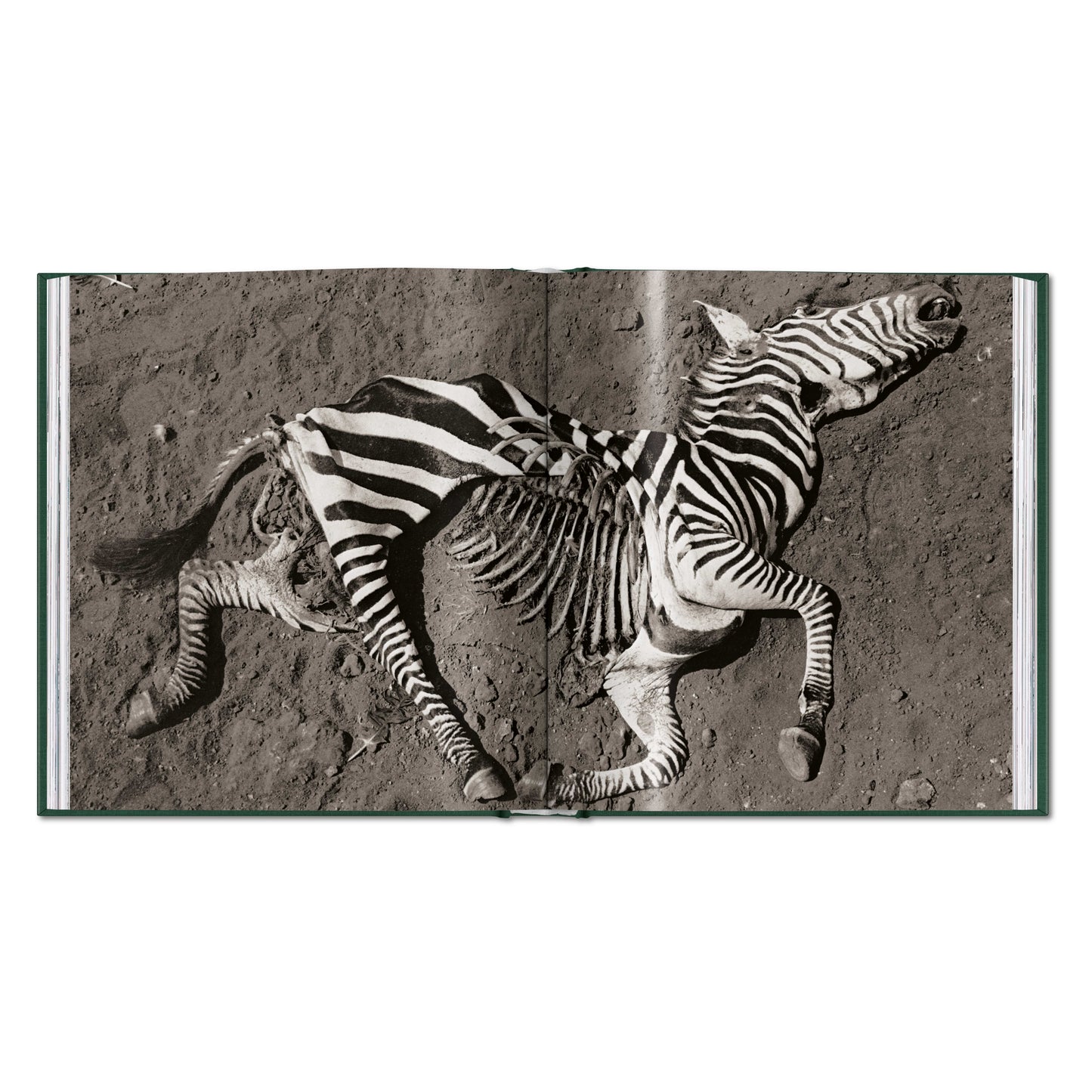 Peter Beard. The End of the Game (English)