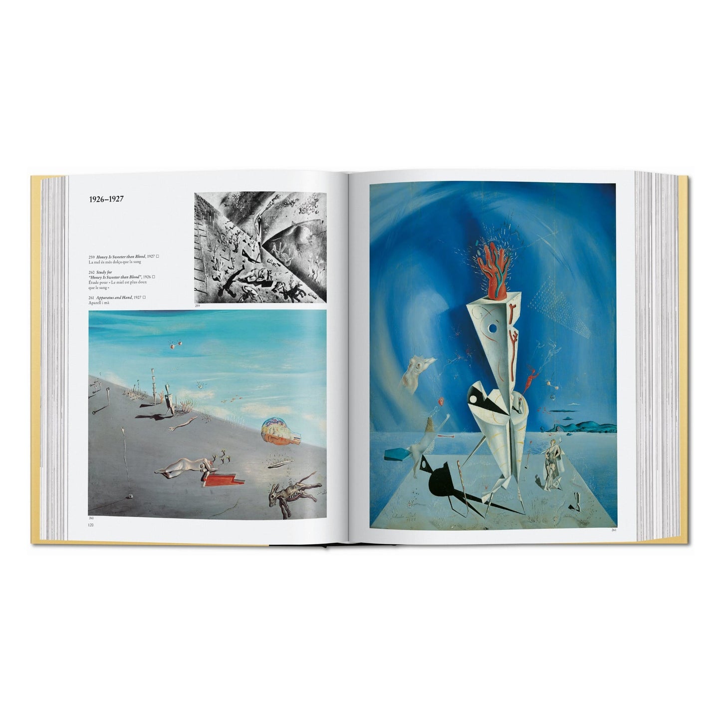 Dalí. Das malerische Werk (German)