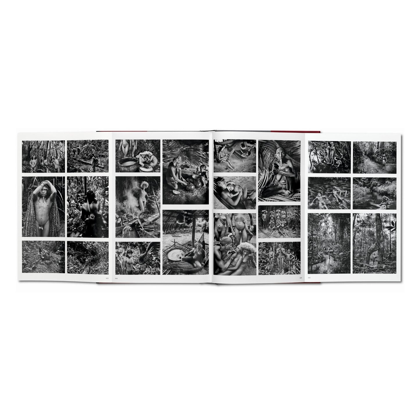 Sebastião Salgado. Genesis (German)