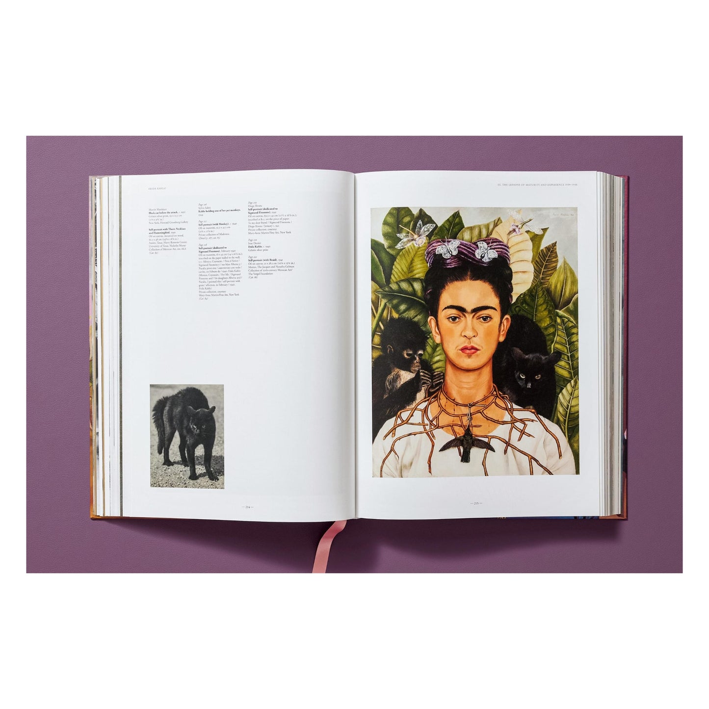 Frida Kahlo. Obra pictórica completa (Spanish)