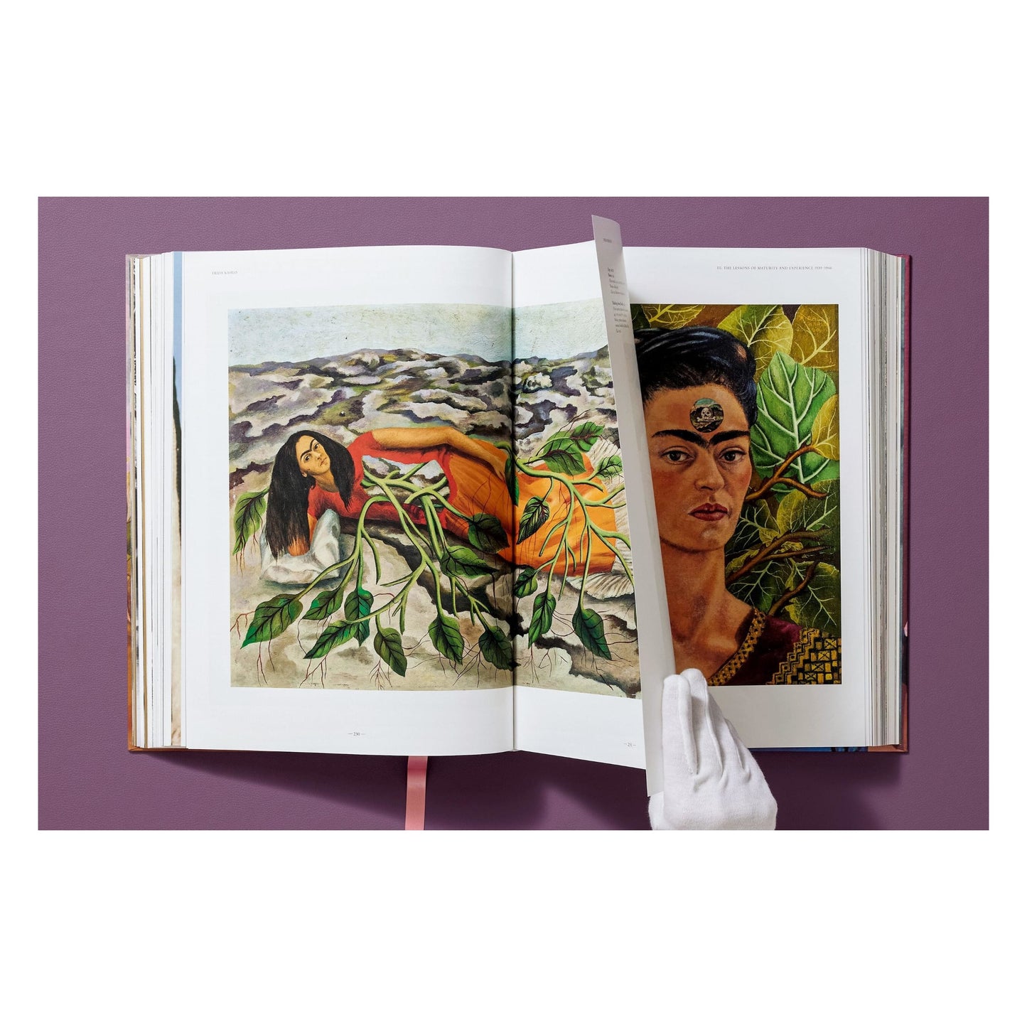 Frida Kahlo. Sämtliche Gemälde (German)
